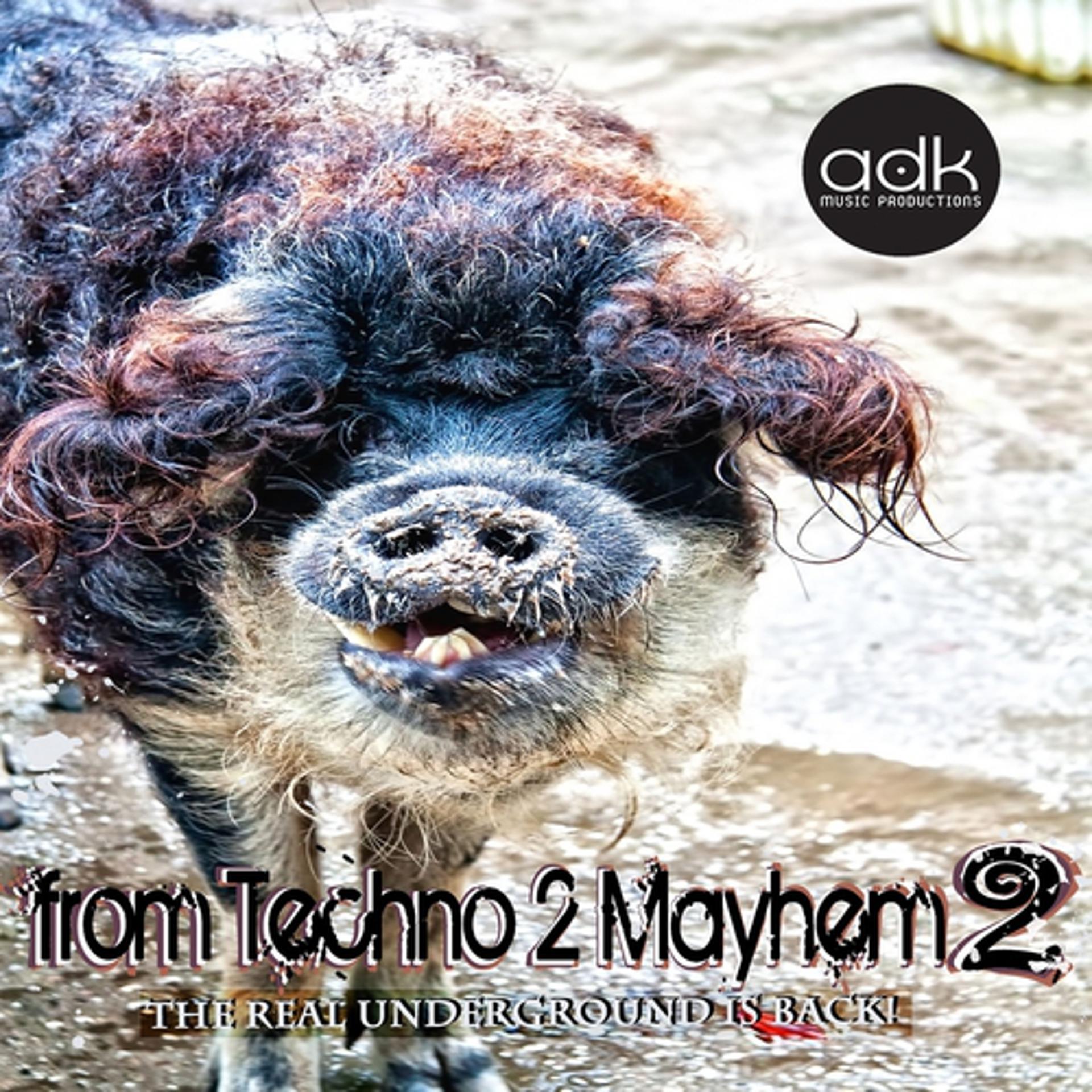 Постер альбома From Techno 2 Mayhem 2