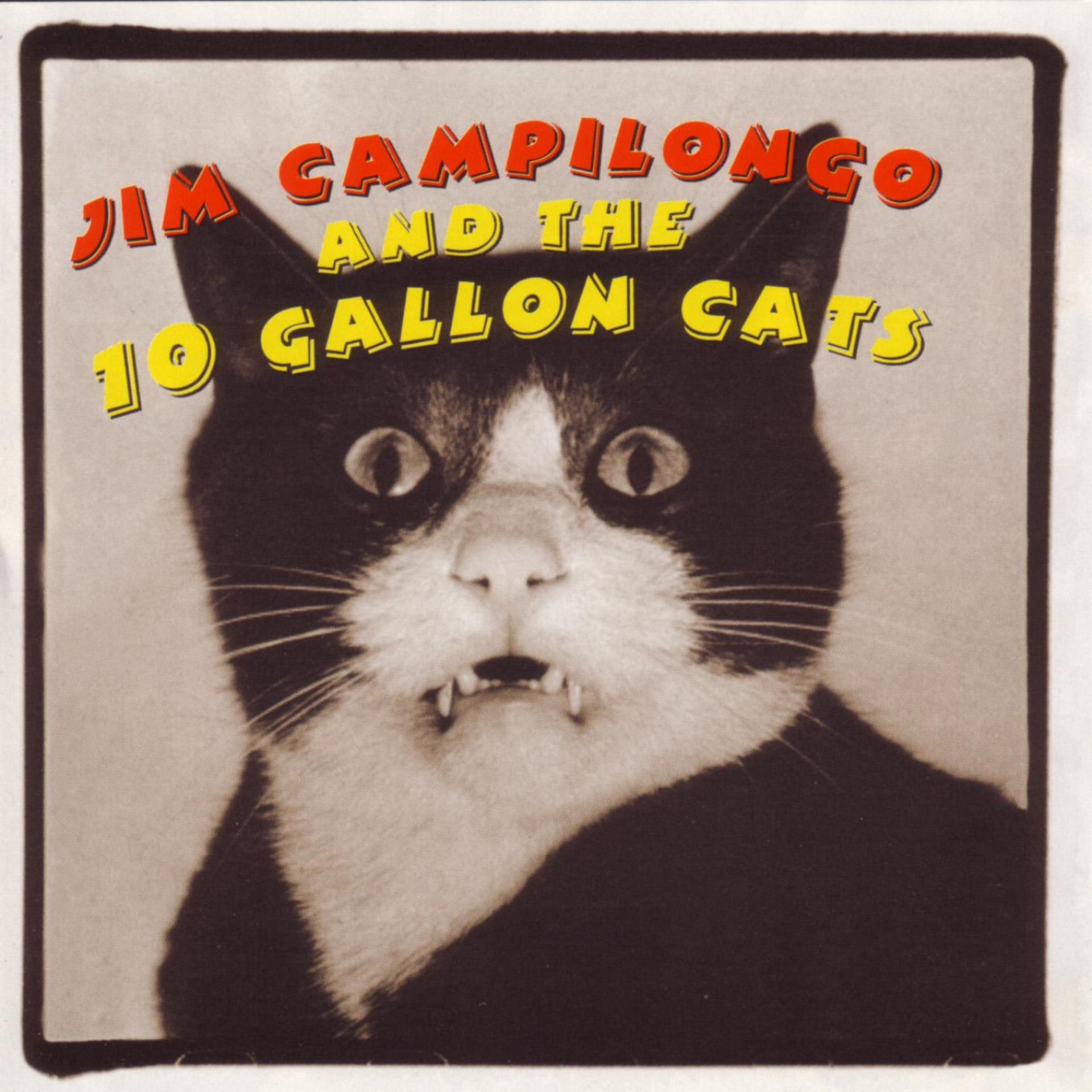 Постер альбома Jim Campilongo and the 10 Gallon Cats