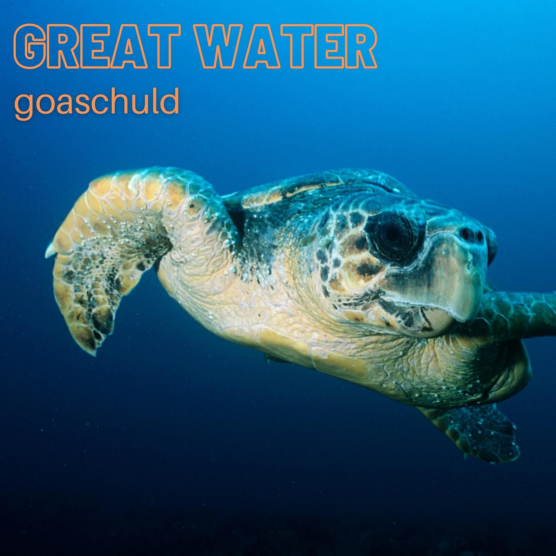 Постер альбома Great Water