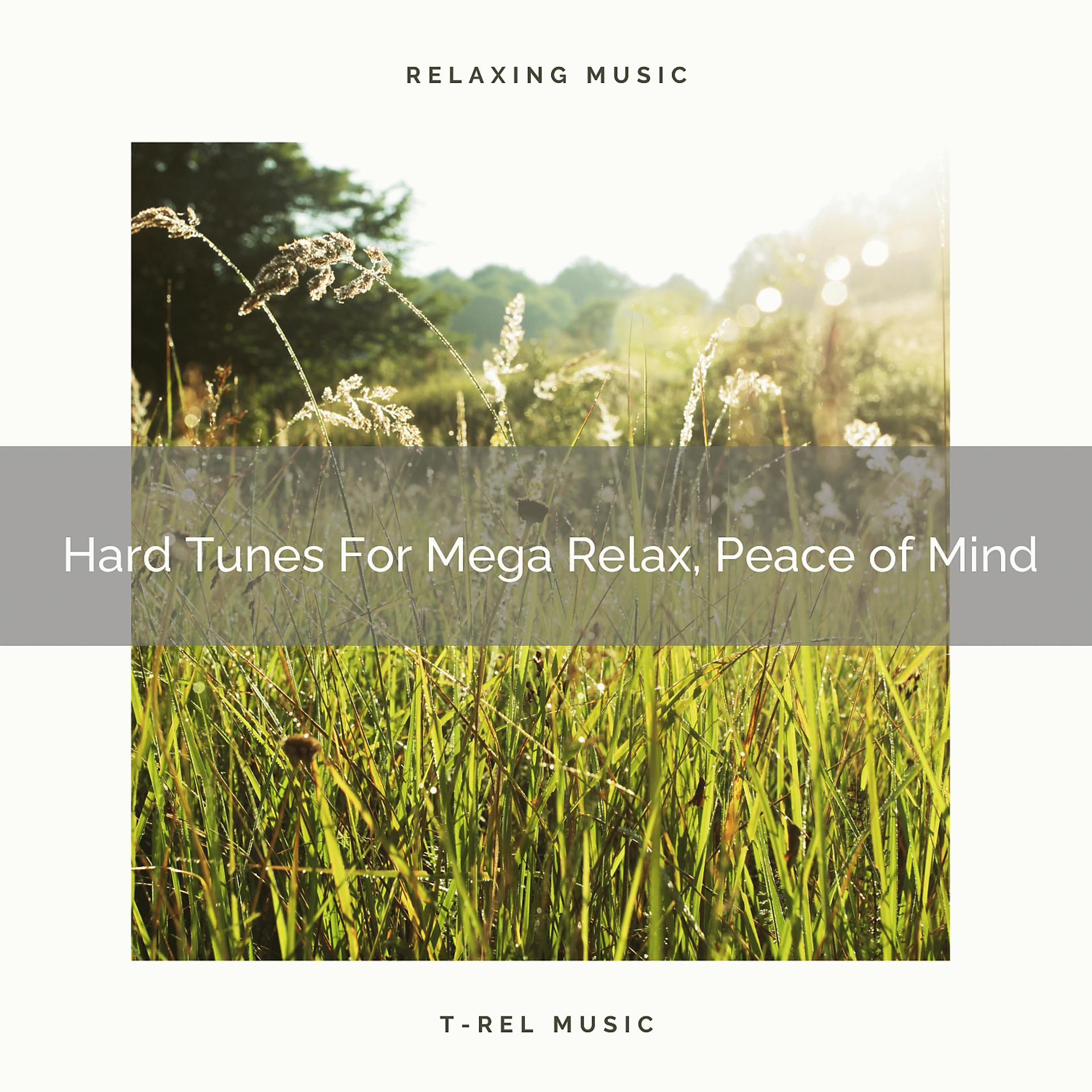 Постер альбома Hard Tunes For Mega Relax, Peace of Mind