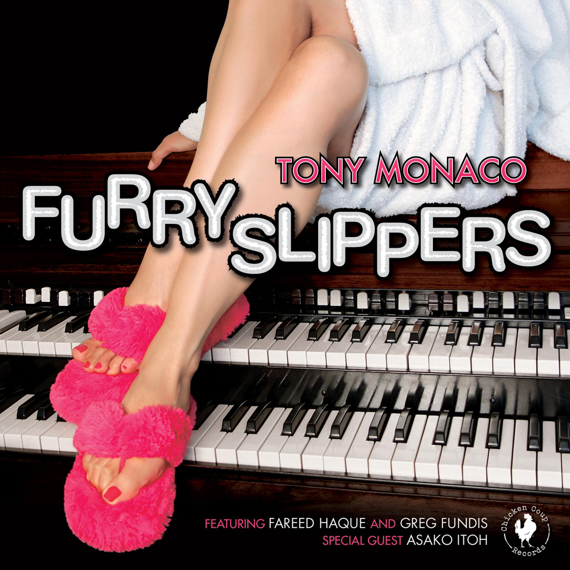 Постер альбома Furry Slippers