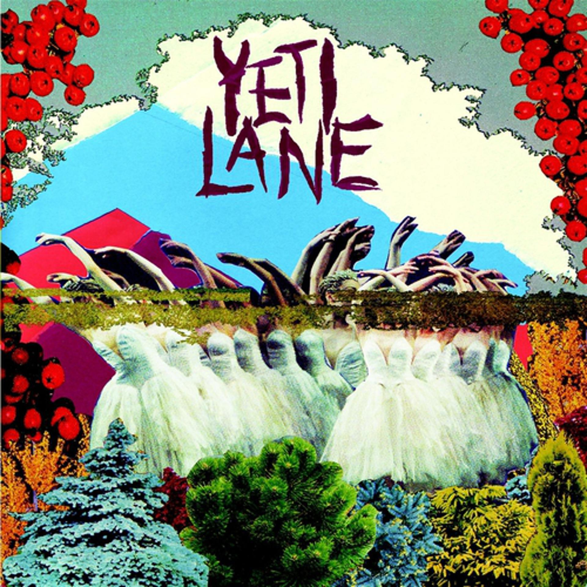 Постер альбома Yeti Lane