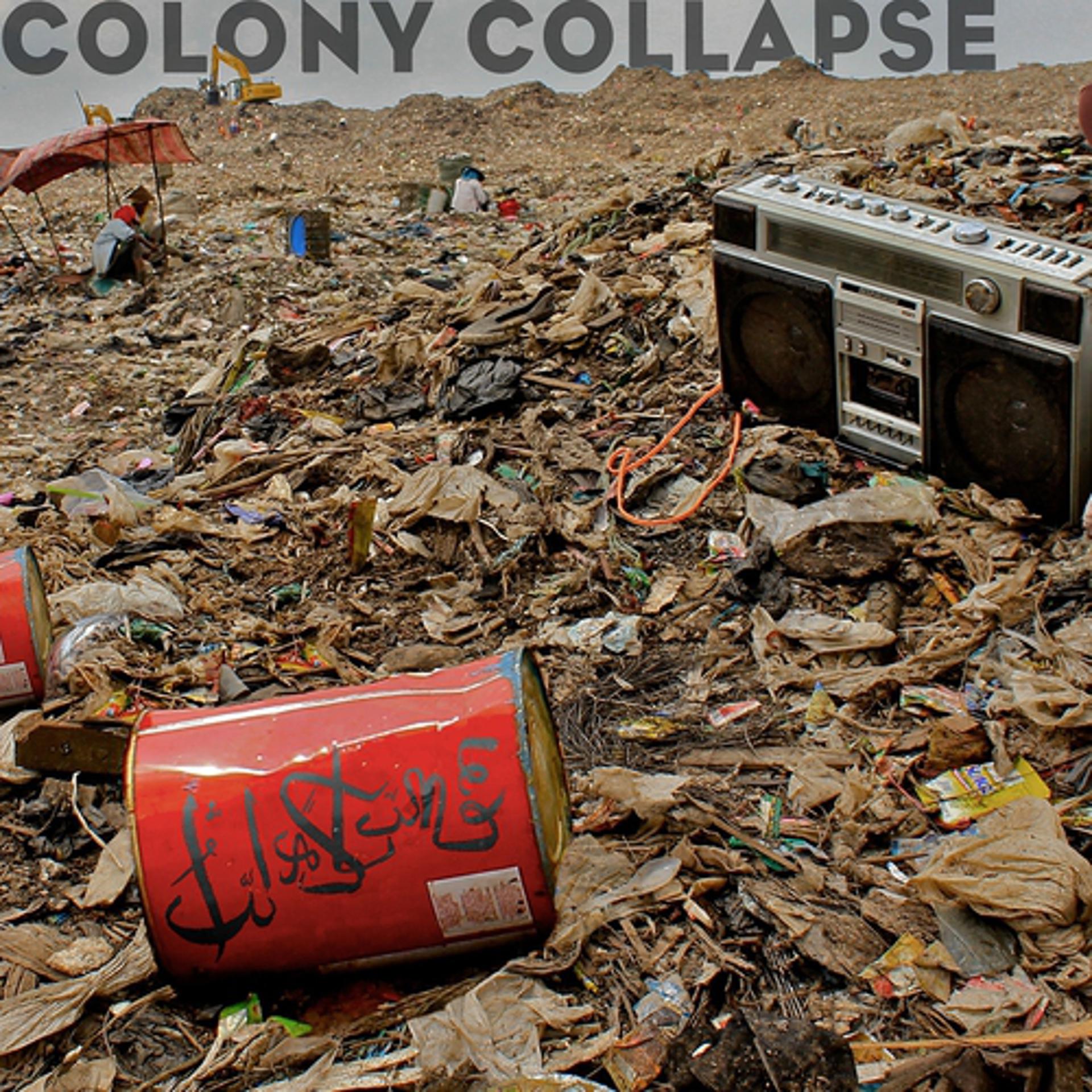 Постер альбома Colony Collapse