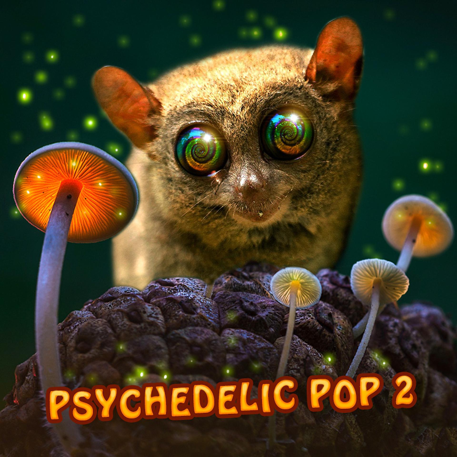 Постер альбома Psychedelic Pop 2