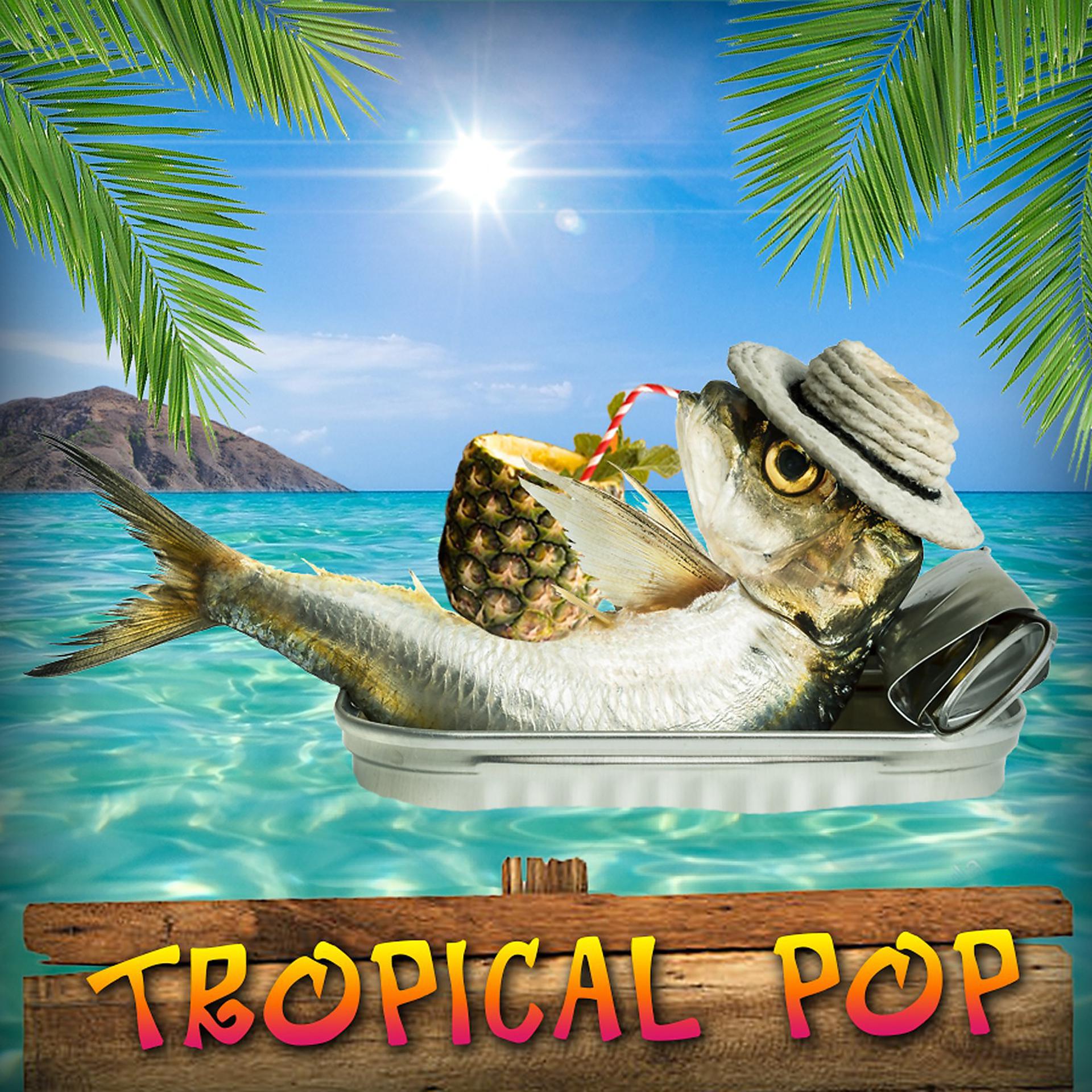Постер альбома Tropical Pop