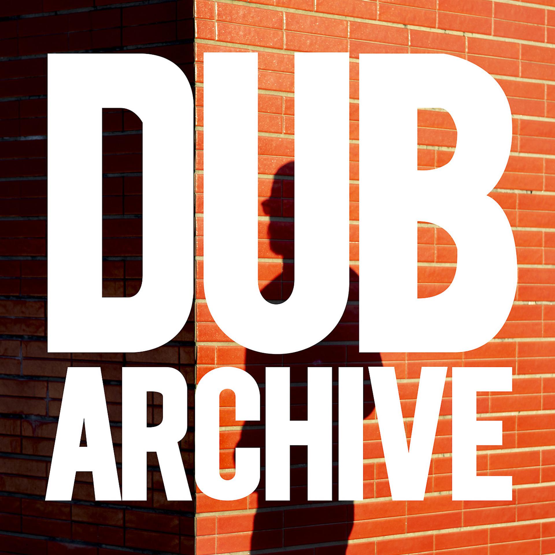 Постер альбома Dub Archive