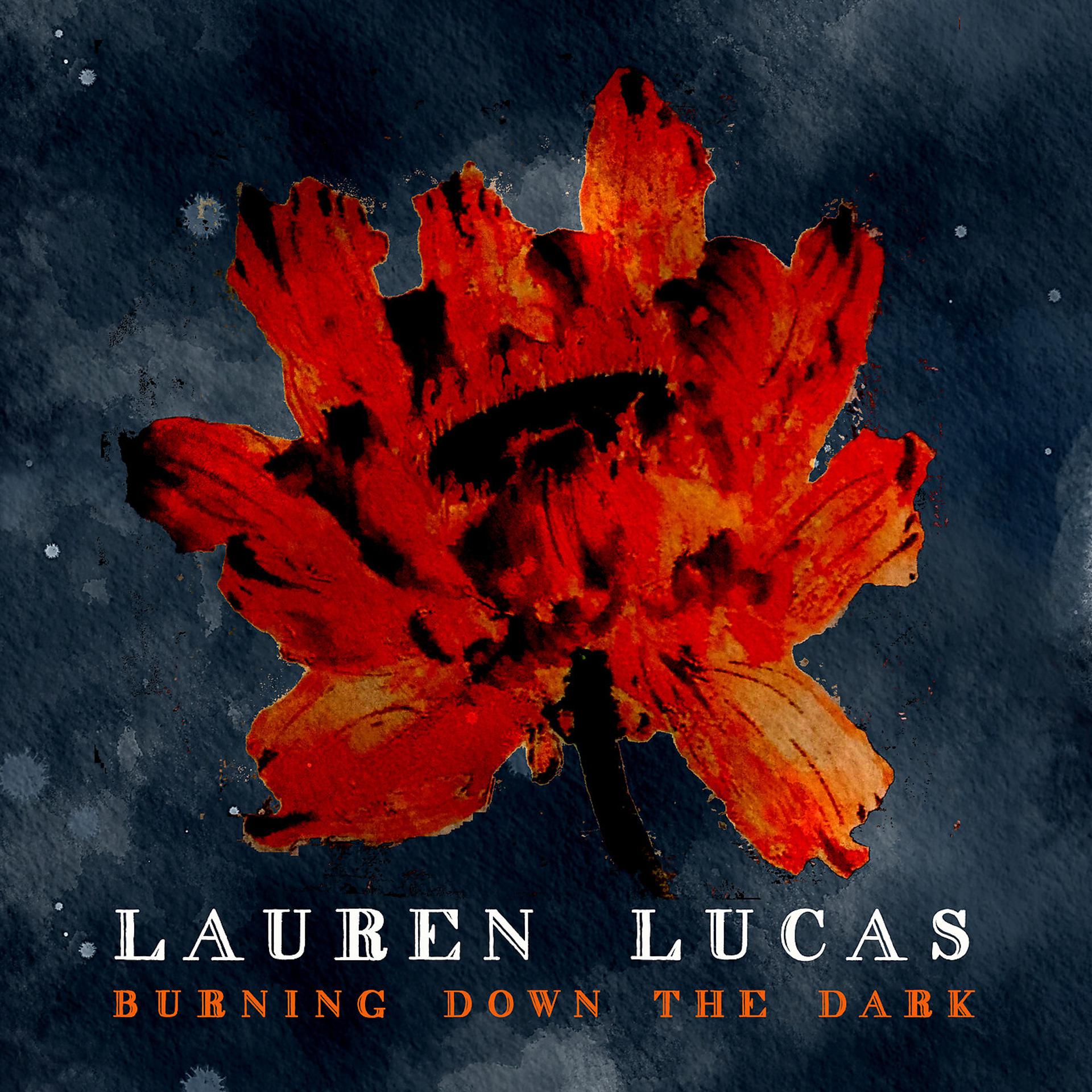 Постер альбома Burning Down the Dark