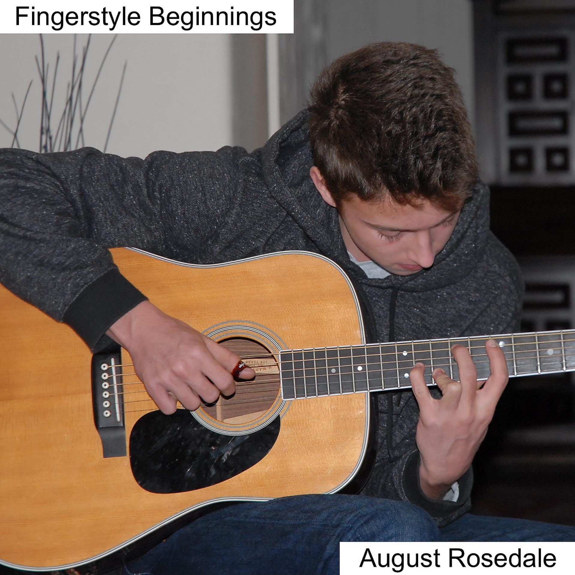 Постер альбома Fingerstyle Beginnings