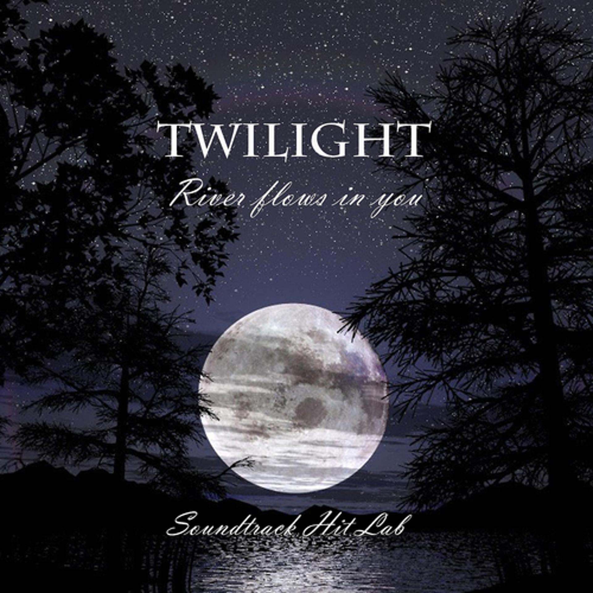 Постер альбома Twilight: River Flows in You