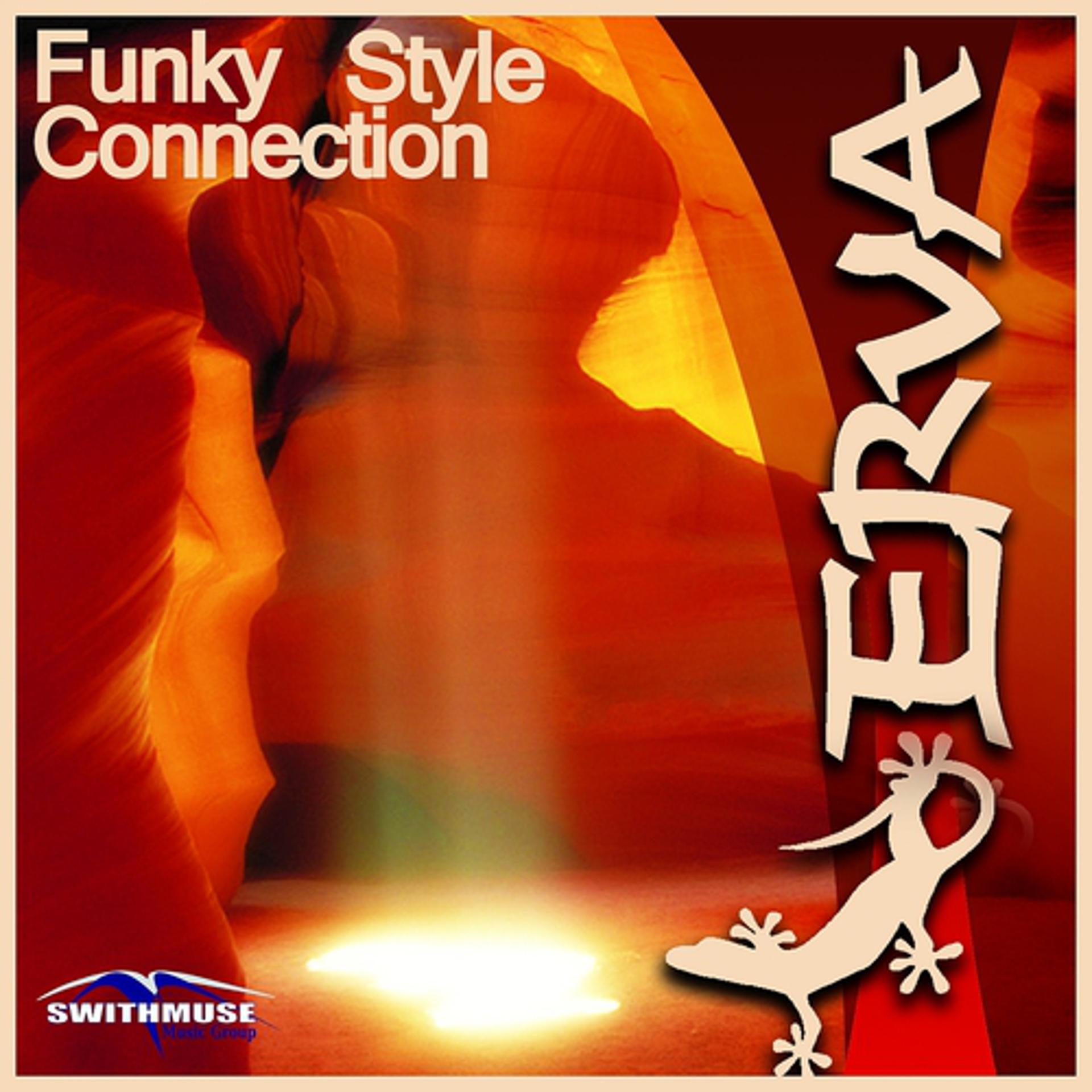 Постер альбома Funky style connection