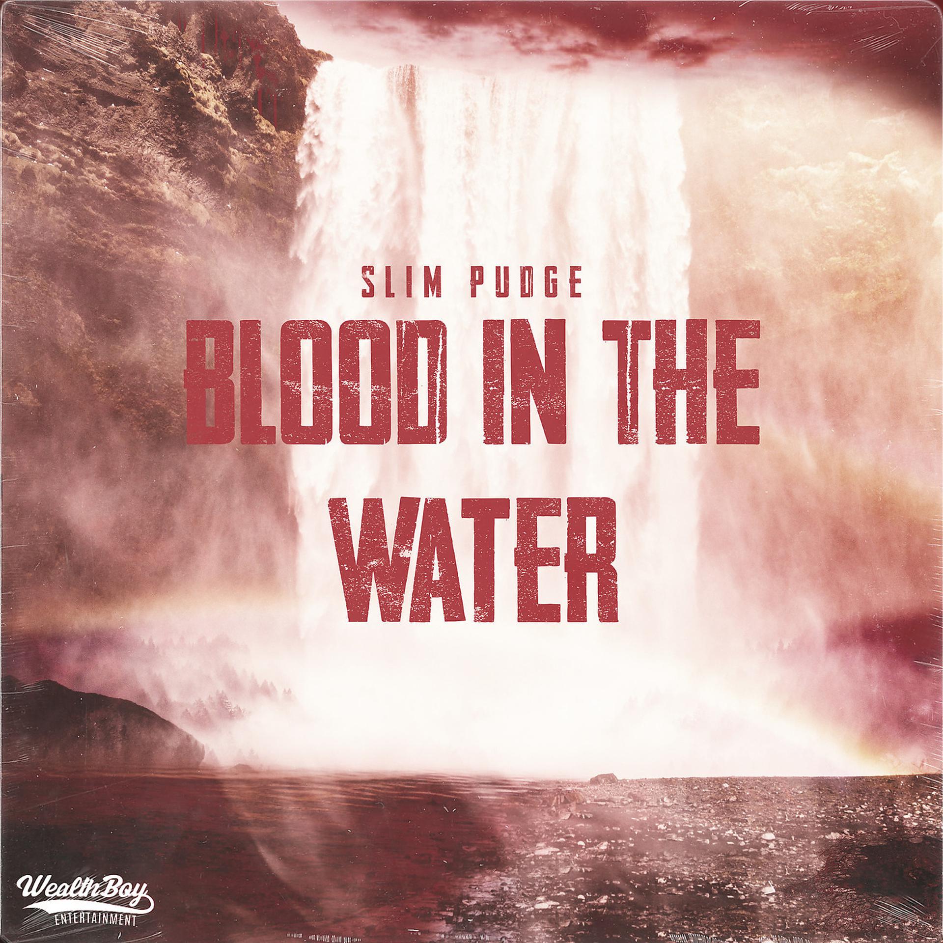 Постер альбома Blood in the Water