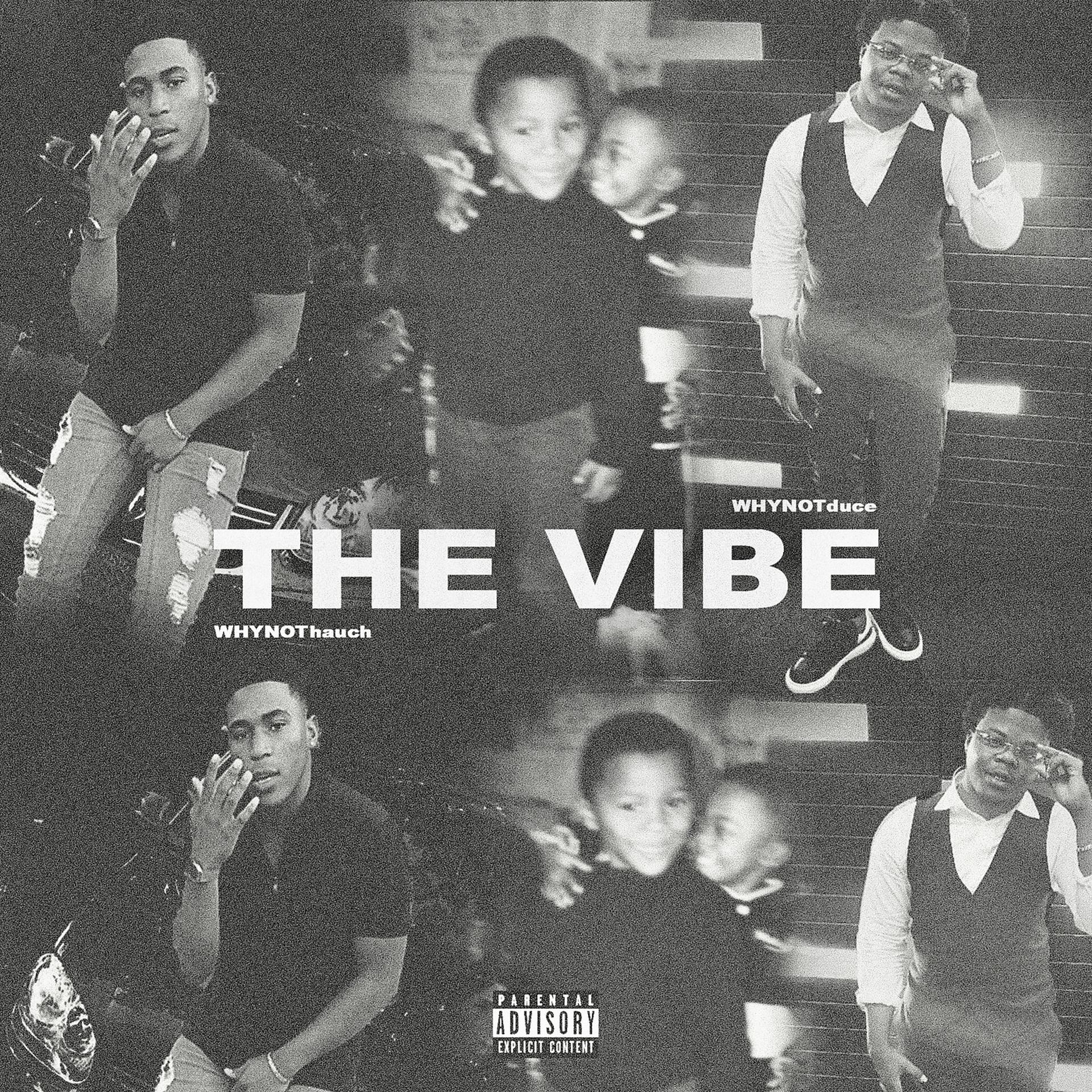 Постер альбома The Vibe