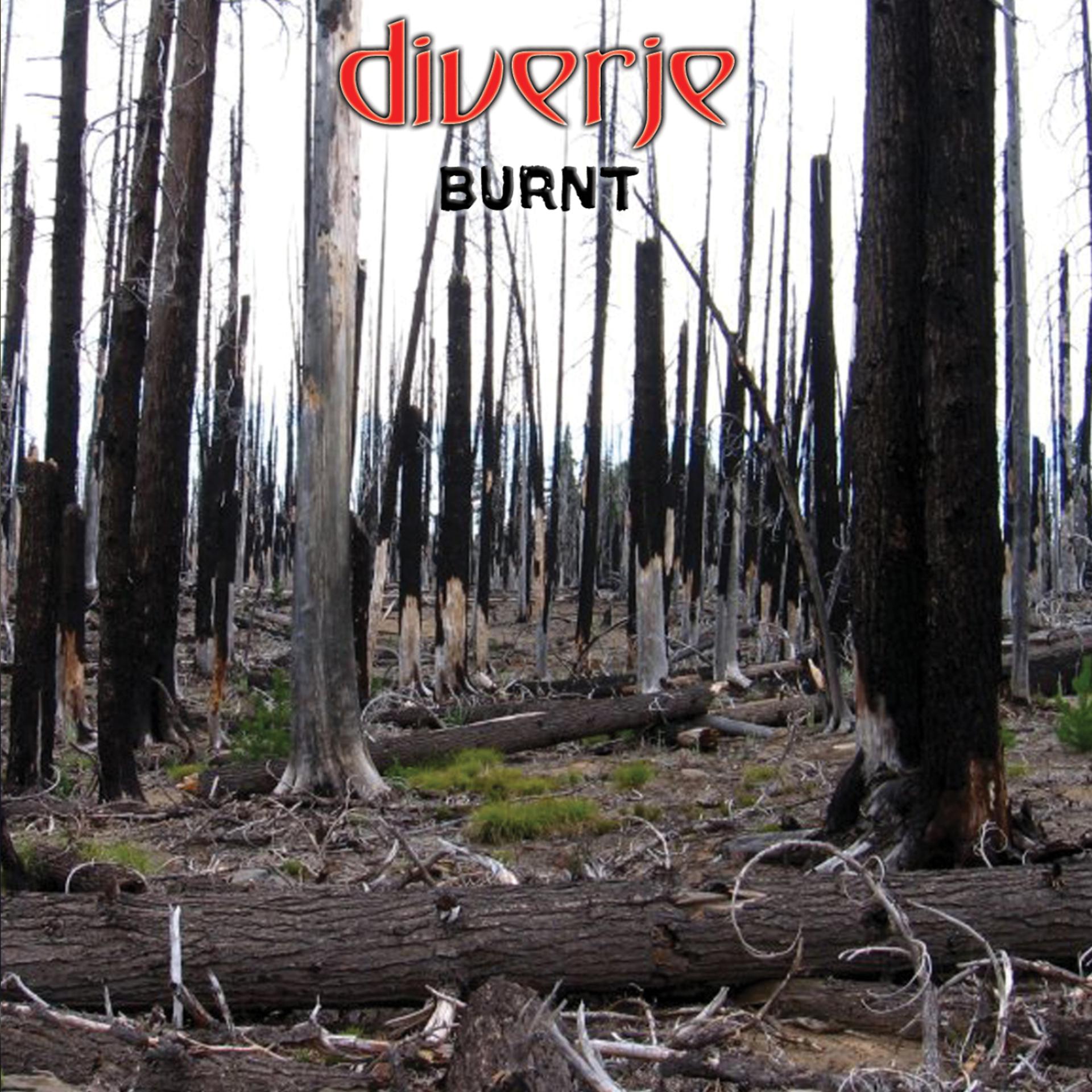 Постер альбома Burnt