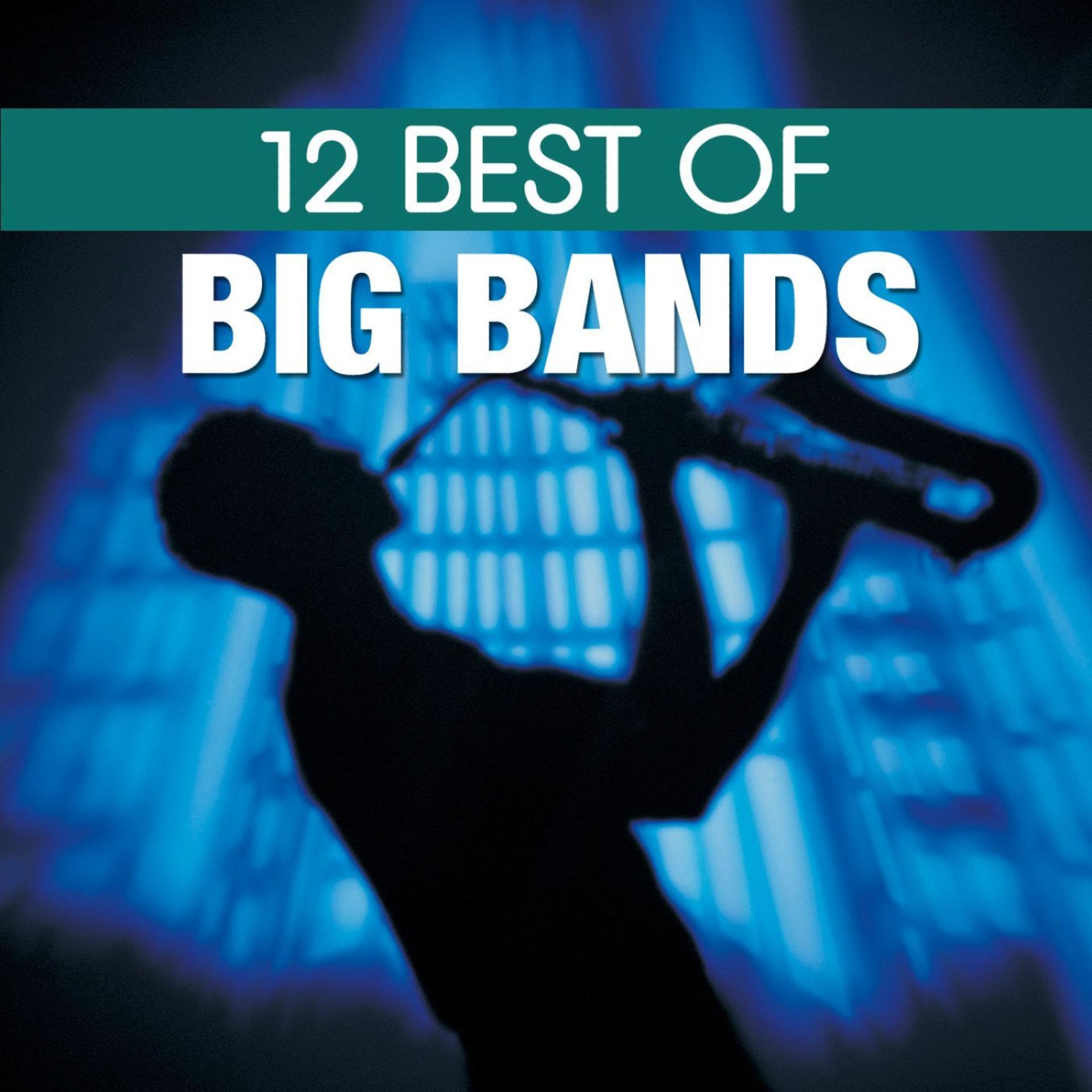 Постер альбома 12 Best of Big Bands