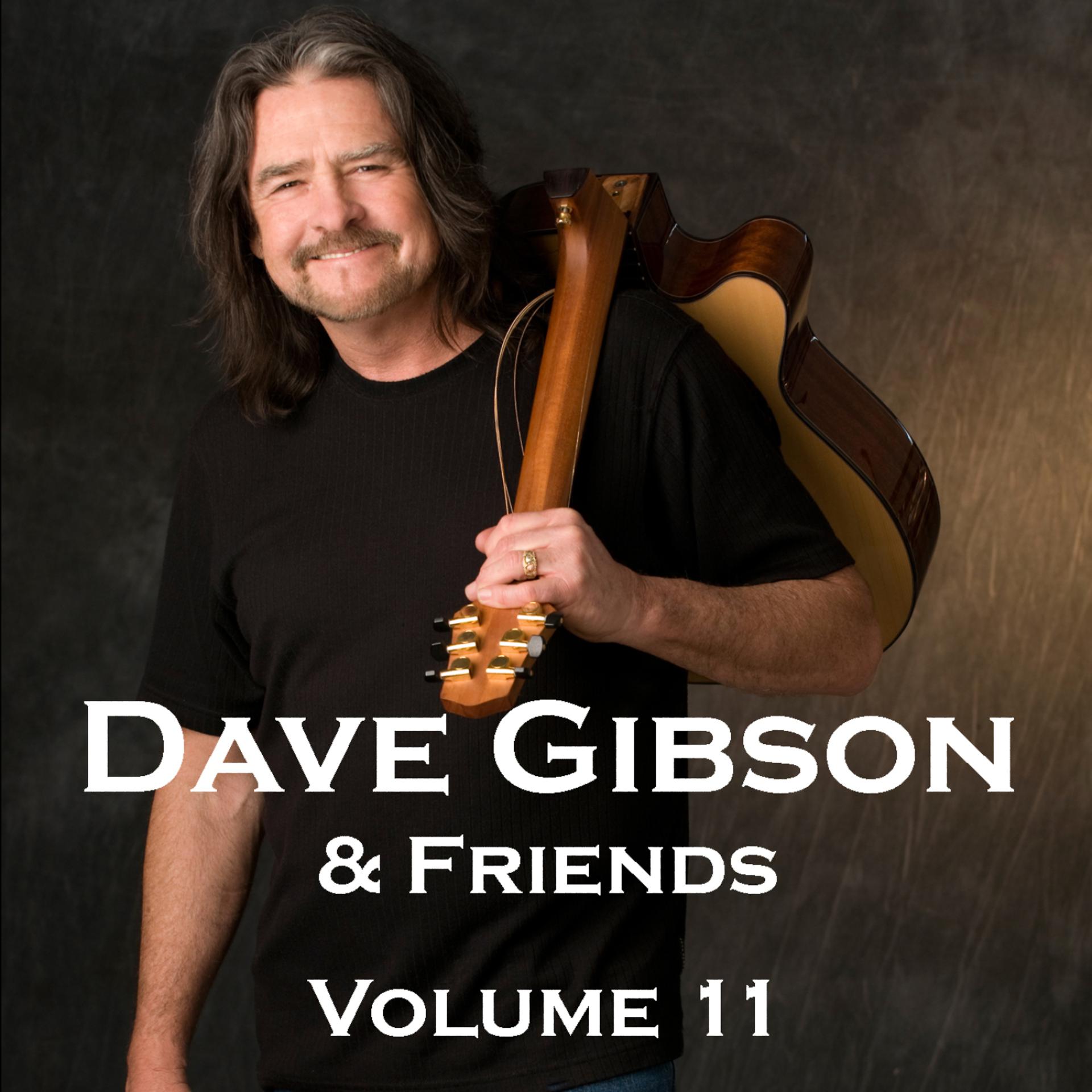 Постер альбома Dave Gibson and Friends, Volume 11