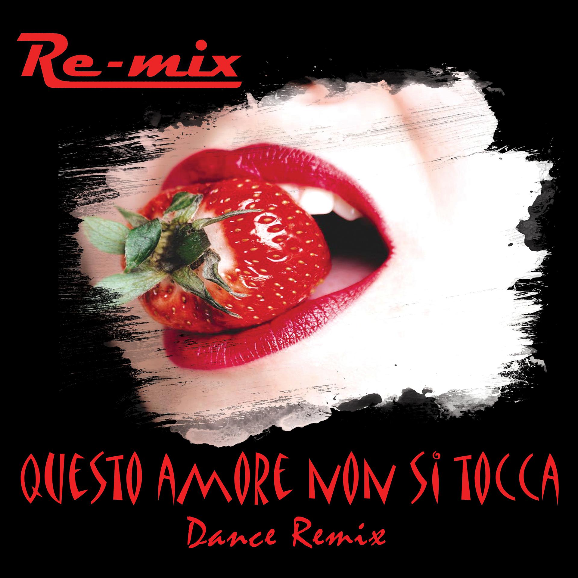 Постер альбома Questo amore non si tocca (Dance Remix)