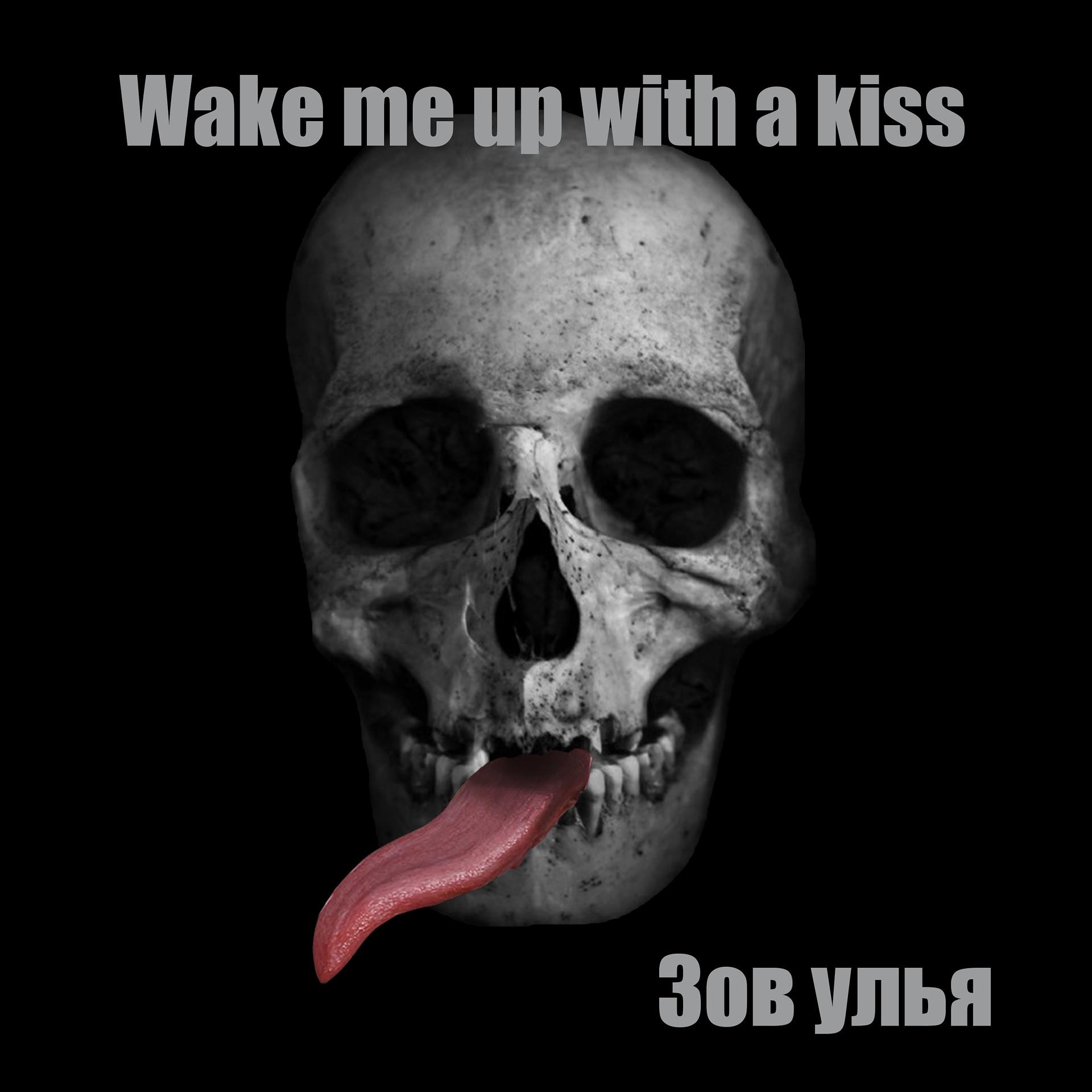 Постер альбома Wake Me Up with a Kiss