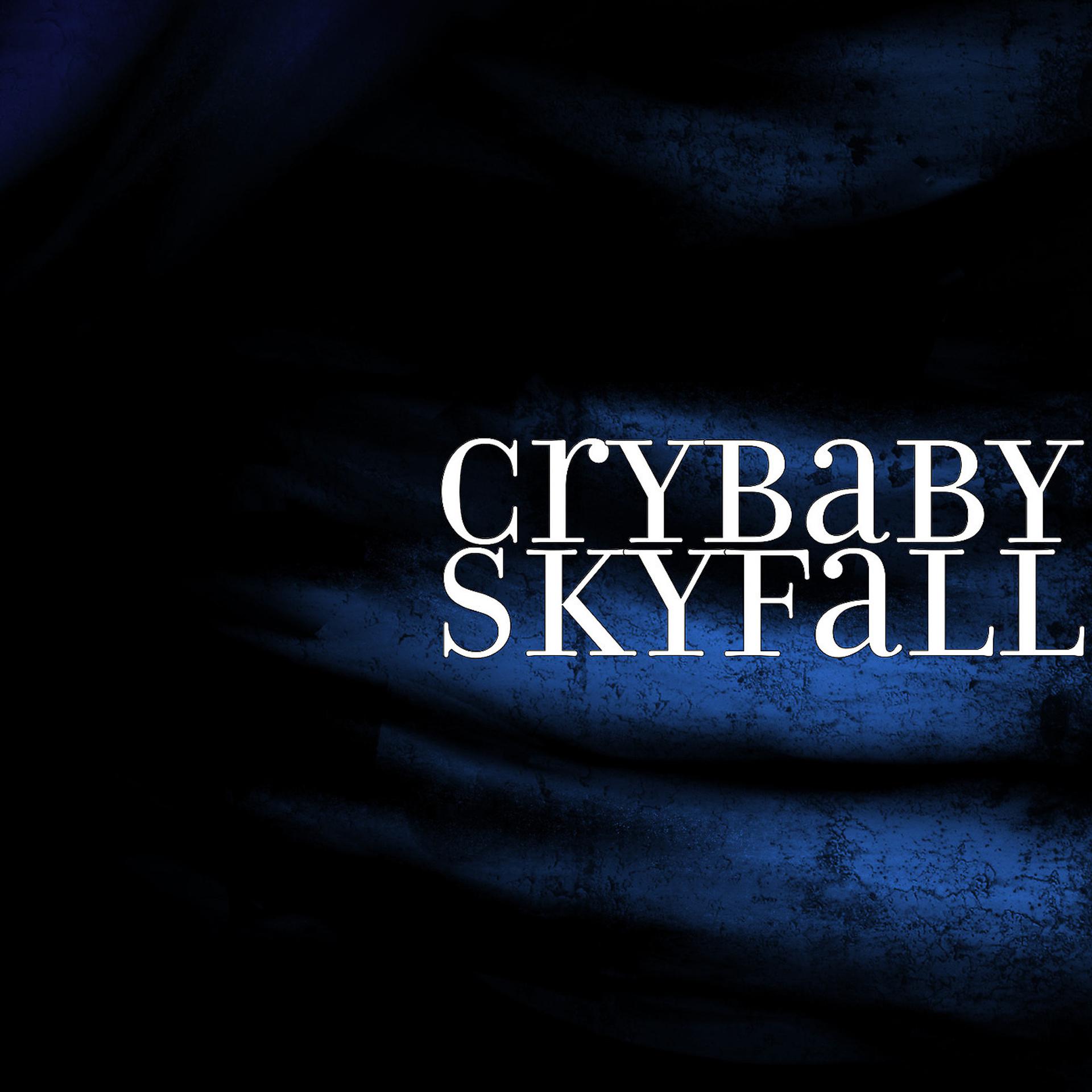 Постер альбома SkyFall