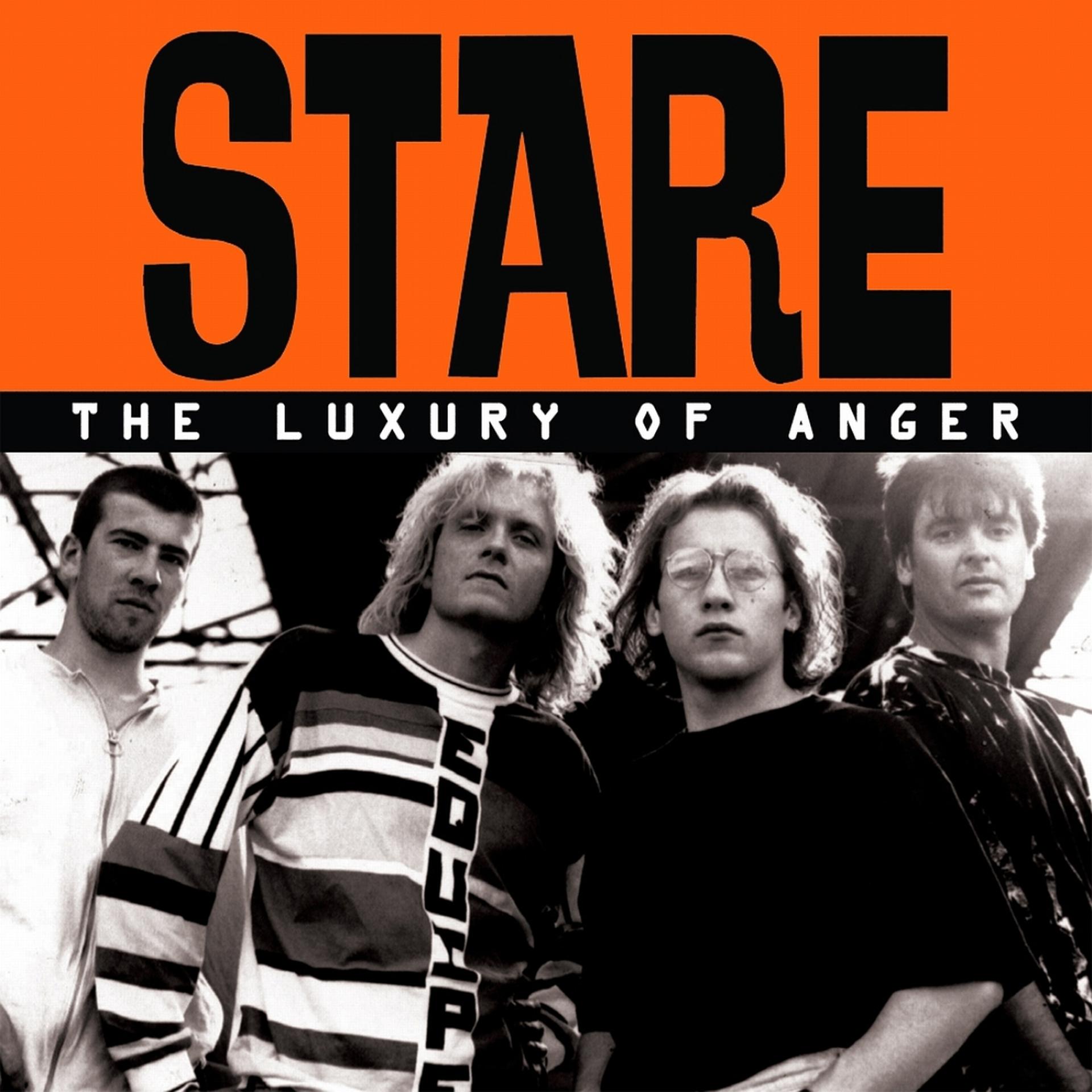Постер альбома The Luxury Of Anger