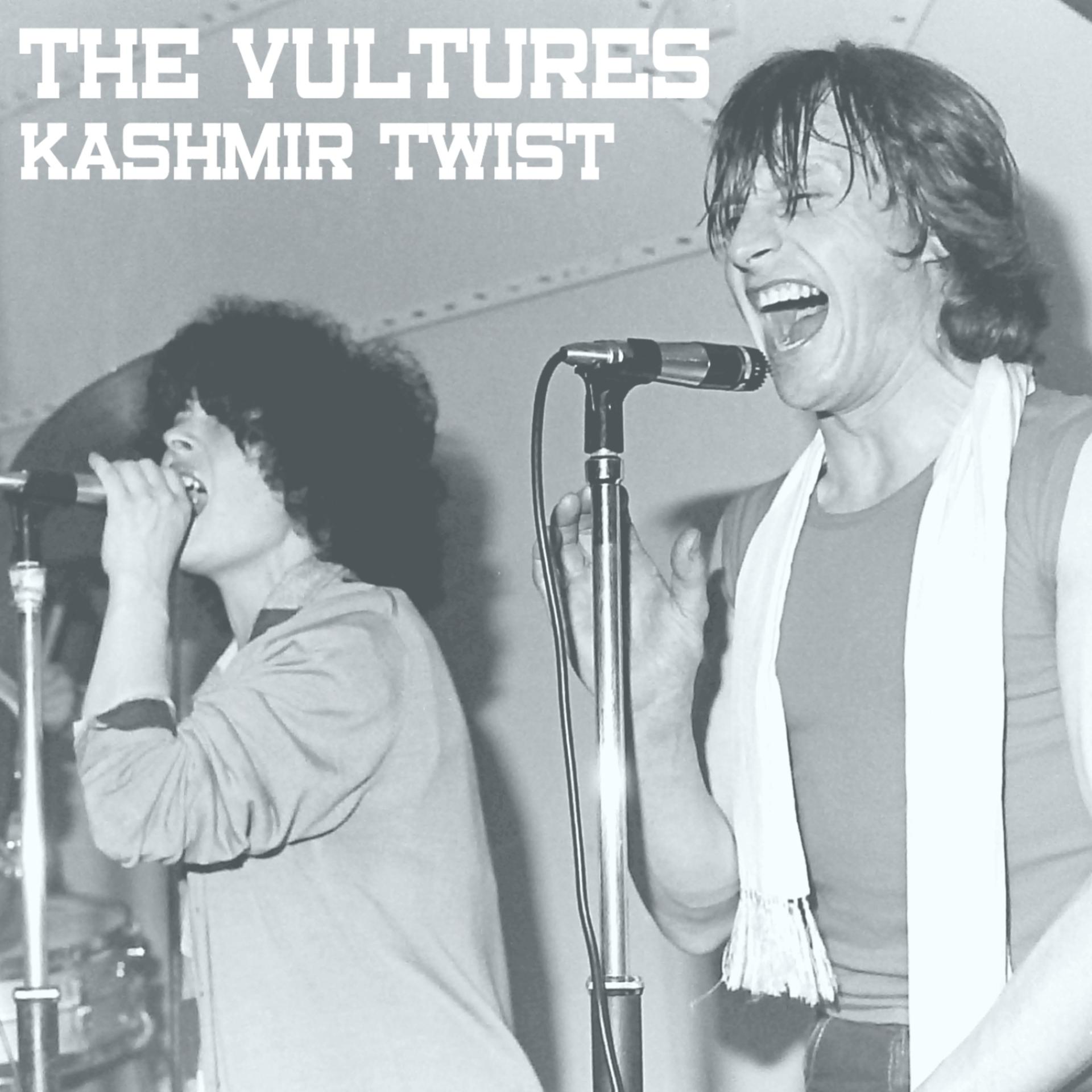 Постер альбома Kashmir Twist