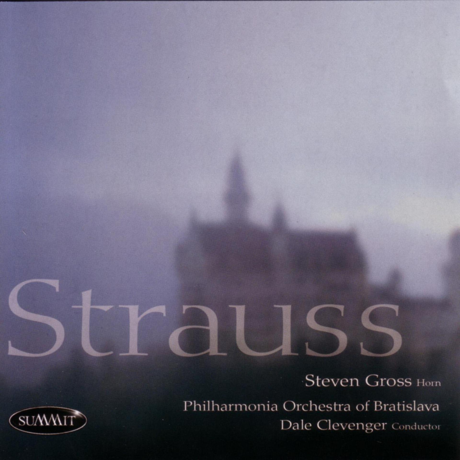 Постер альбома Strauss