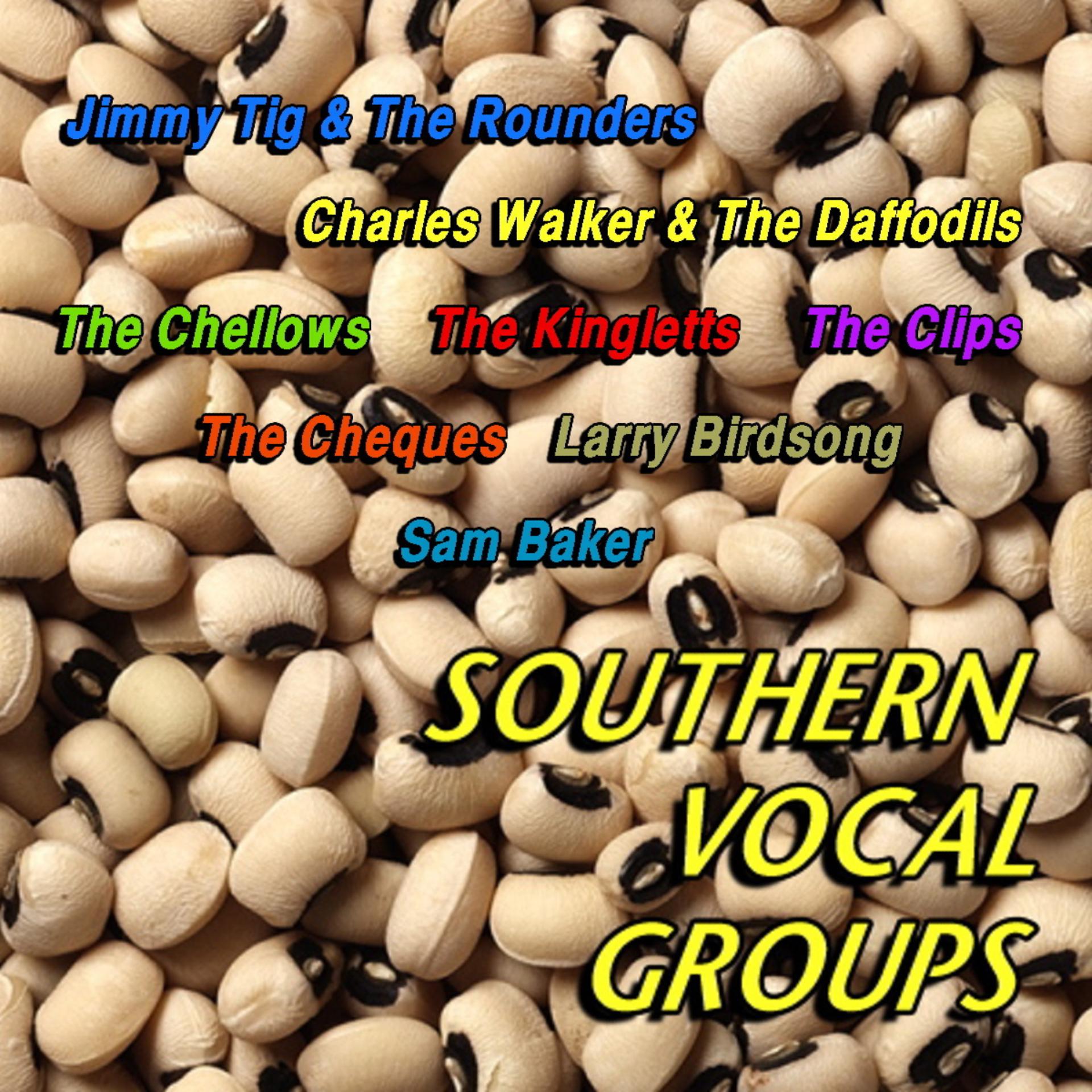 Постер альбома Southern Vocal Groups