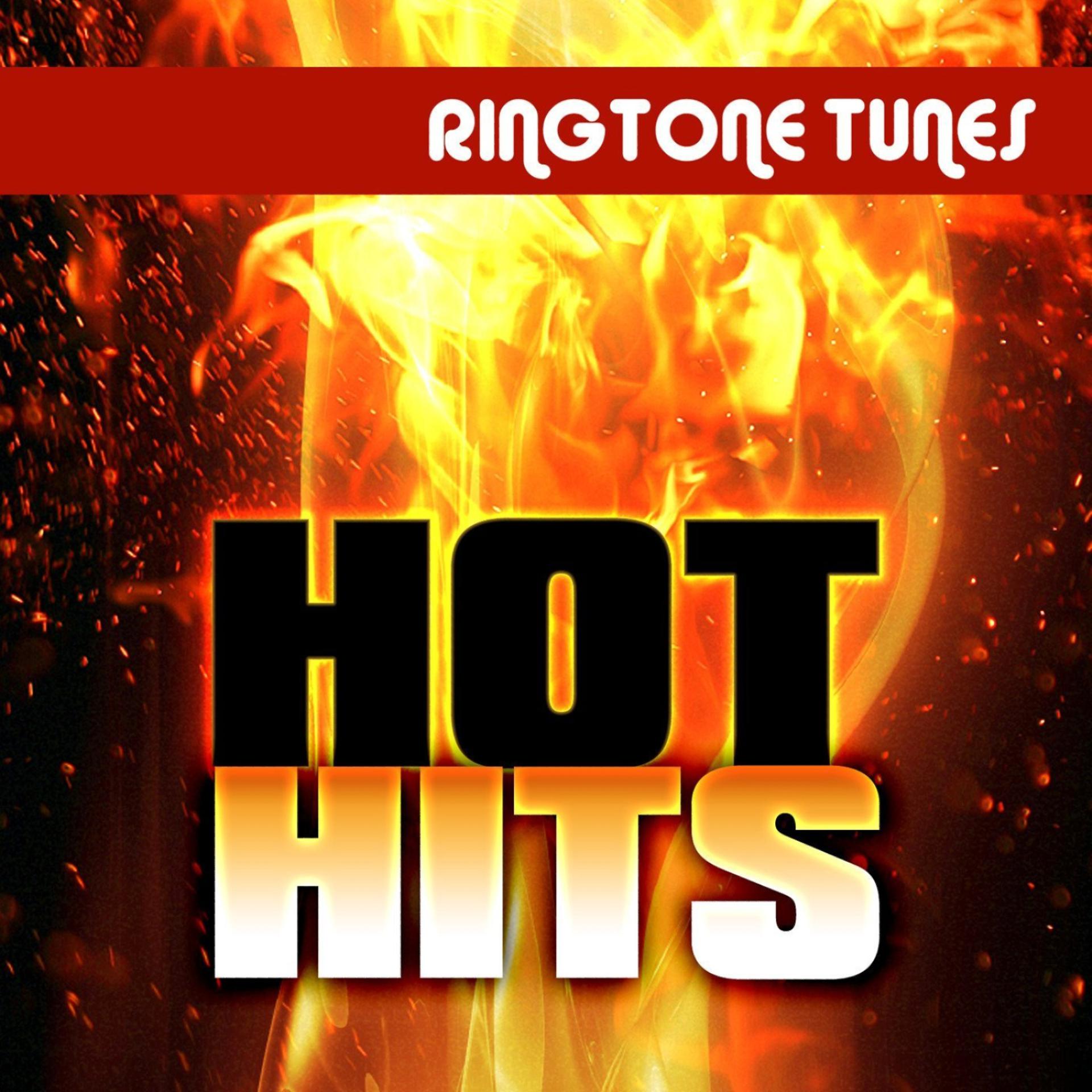 Постер альбома Ringtone Tunes: Hot Hits 2009