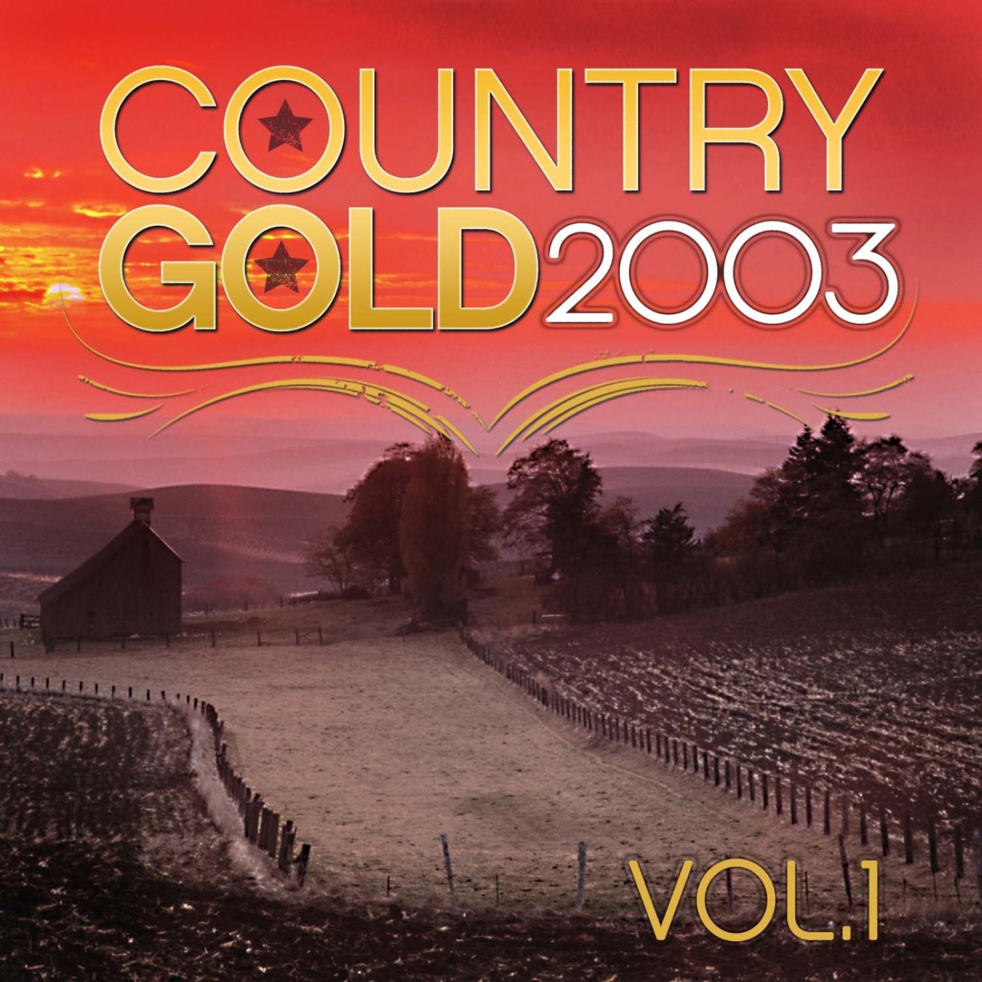 Постер альбома Country Gold 2003 Vol.1