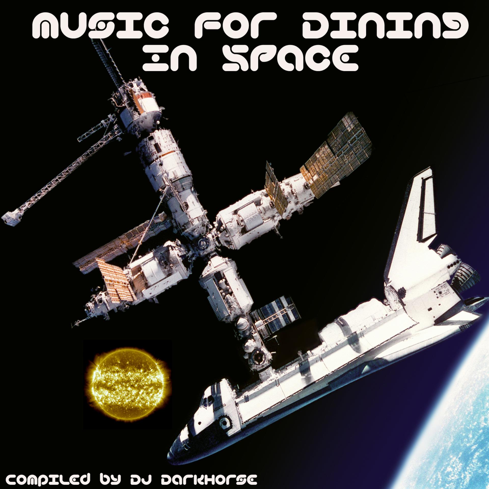 Постер альбома Music for Dining in Space: Compiled by DJ Darkhorse