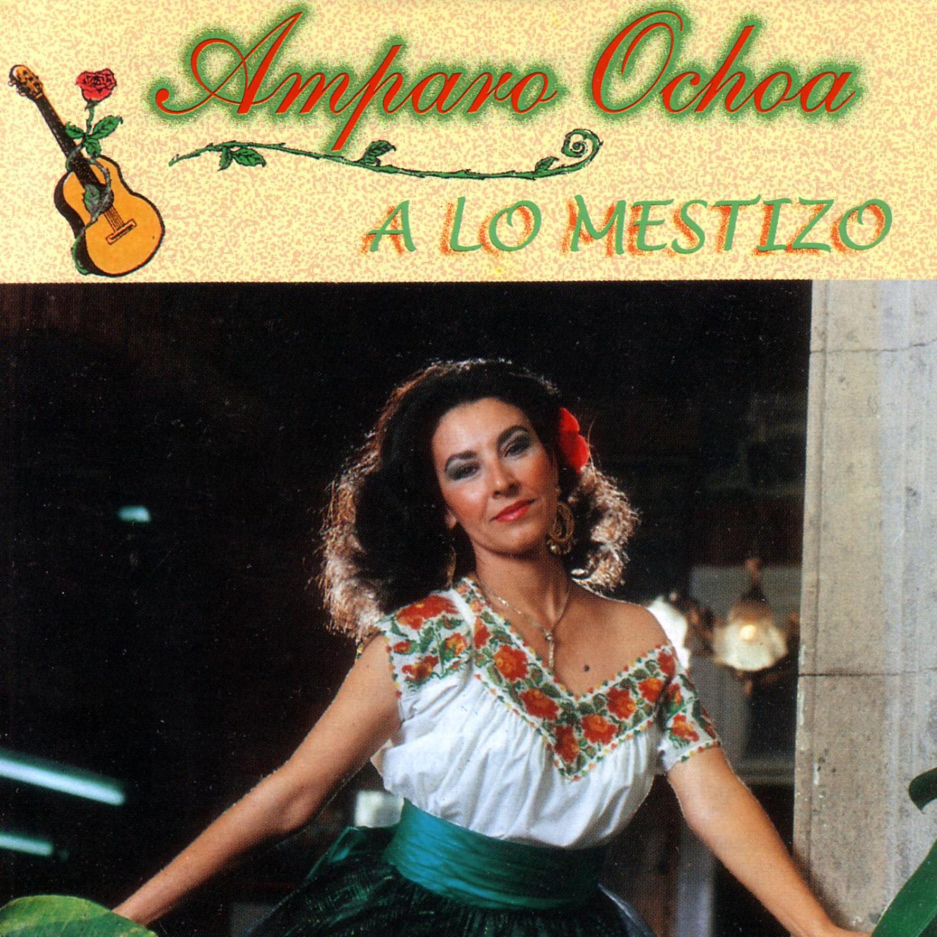 Постер альбома A Lo Mestizo