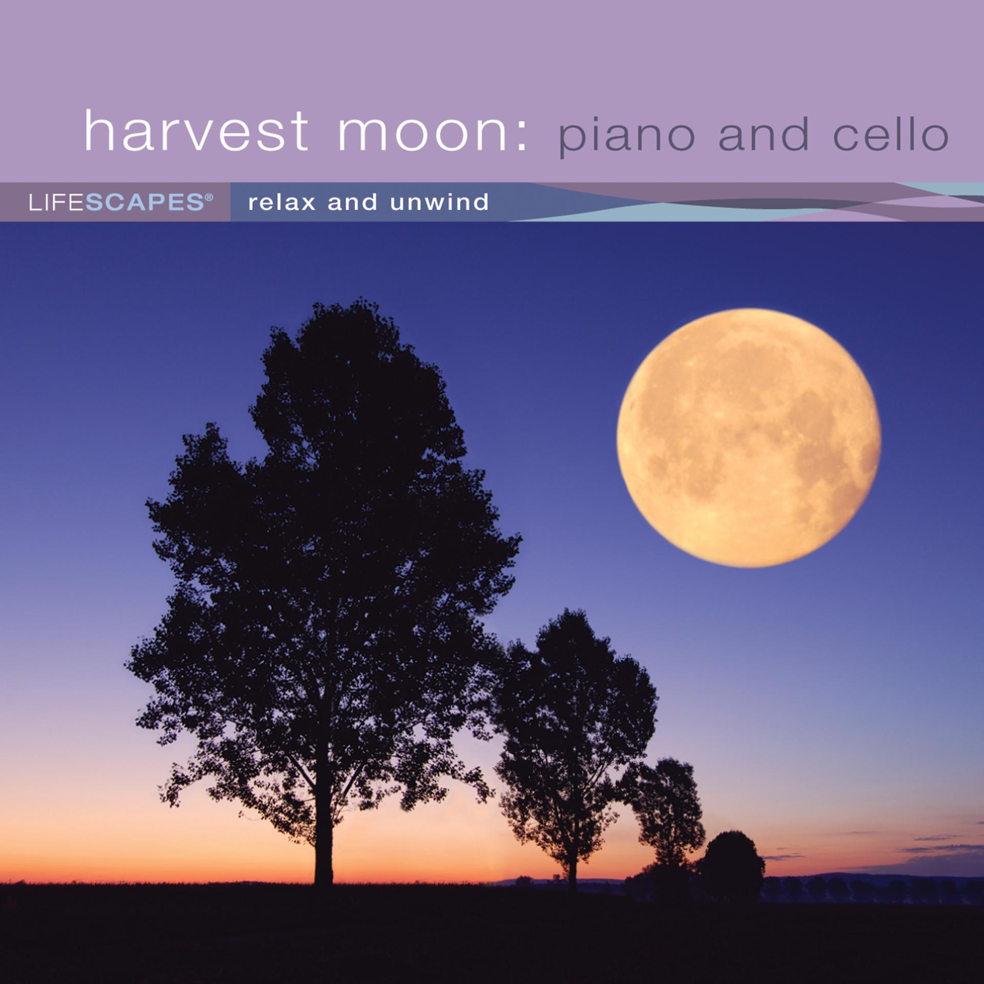 Постер альбома Harvest Moon: Piano and Cello