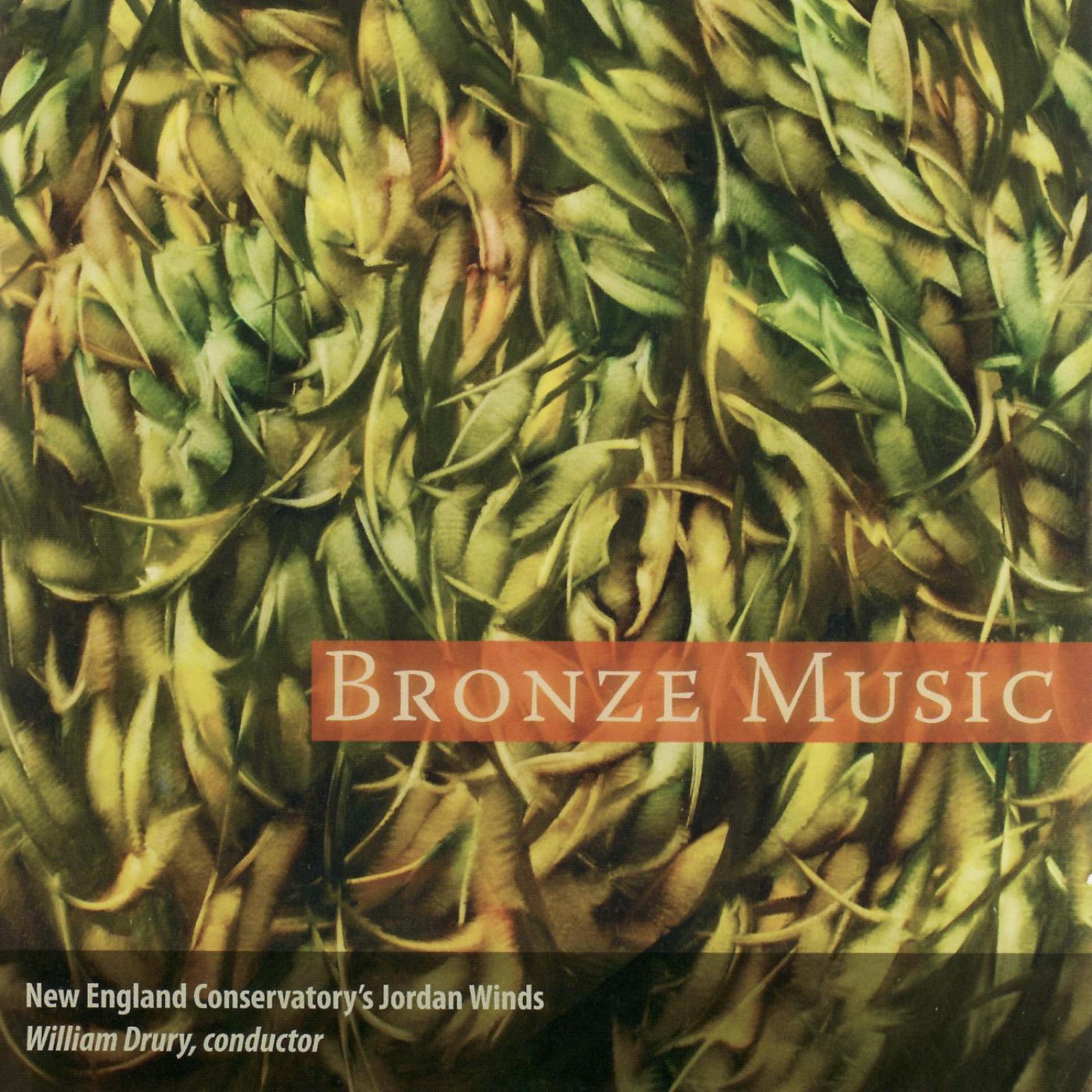 Постер альбома Bronze Music