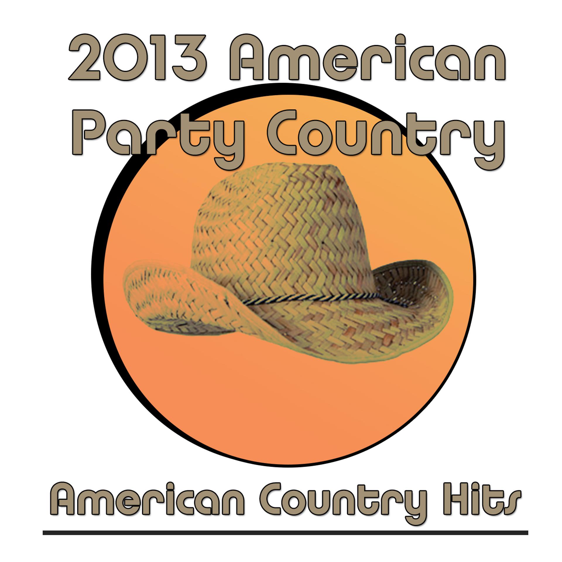 Постер альбома 2013 American Party Country
