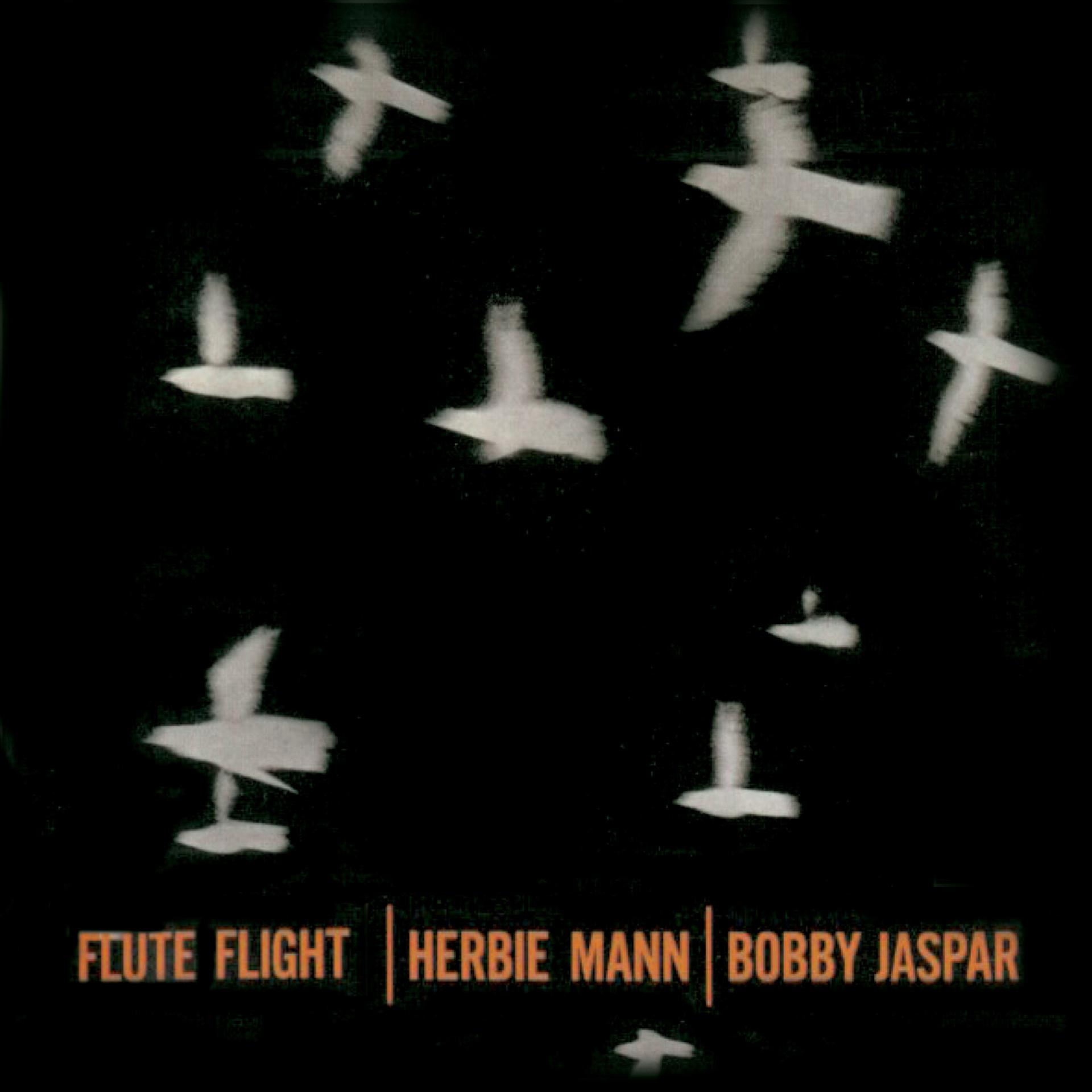 Постер альбома Flute Flight (Remastered)
