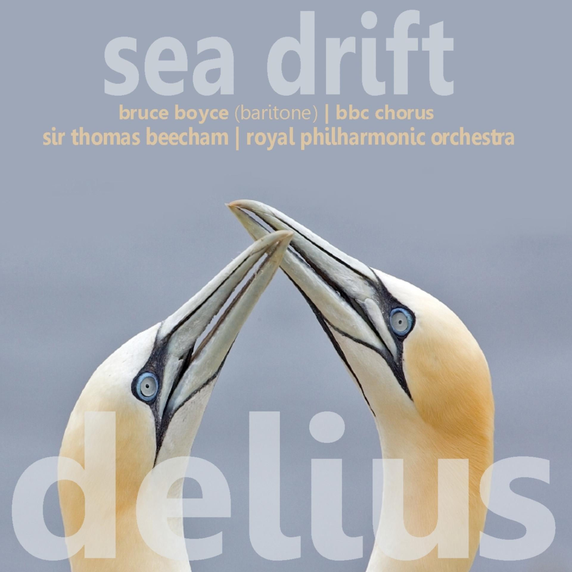 Постер альбома Delius: Sea Drift