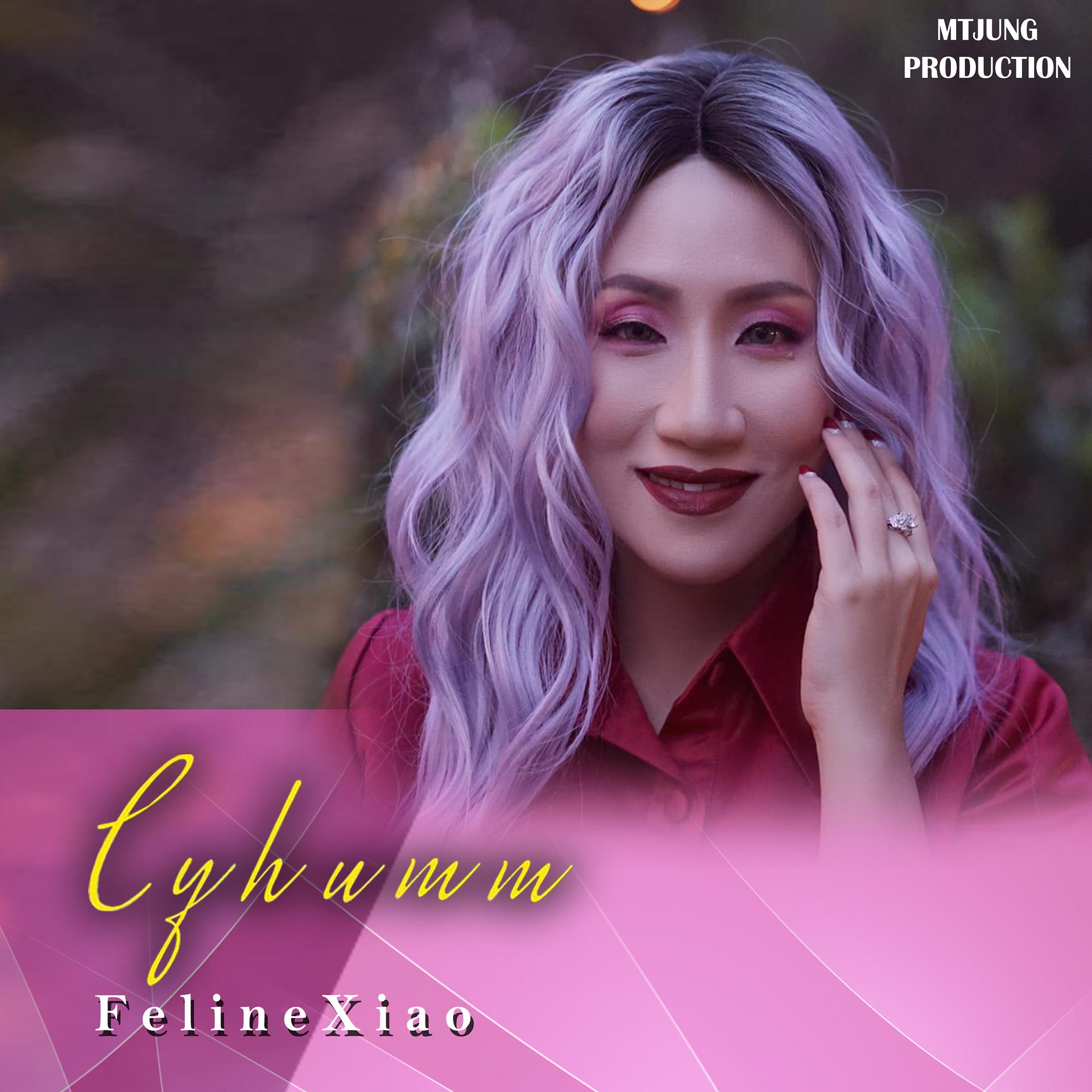 Постер альбома Cyhumm