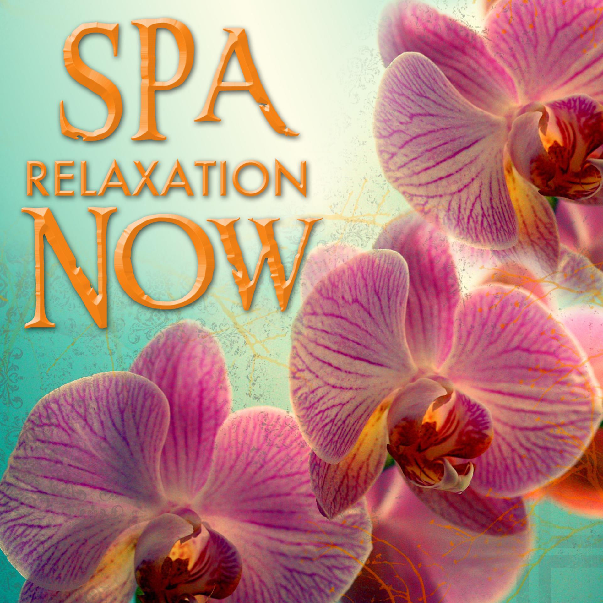 Постер альбома Spa Relaxation Now