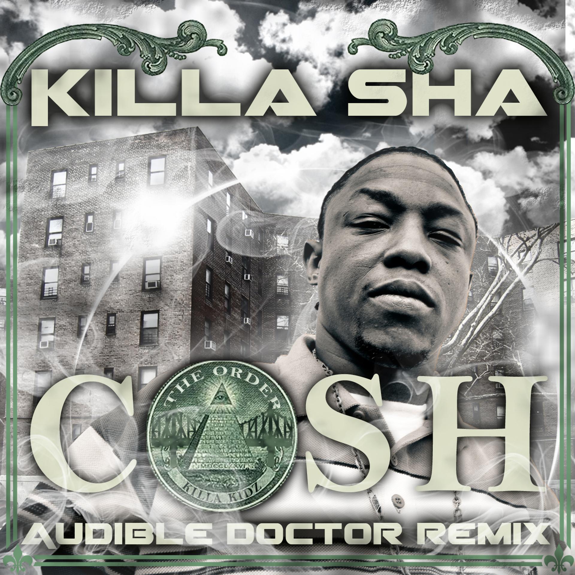 Постер альбома Cash (Audible Doctor Remix)