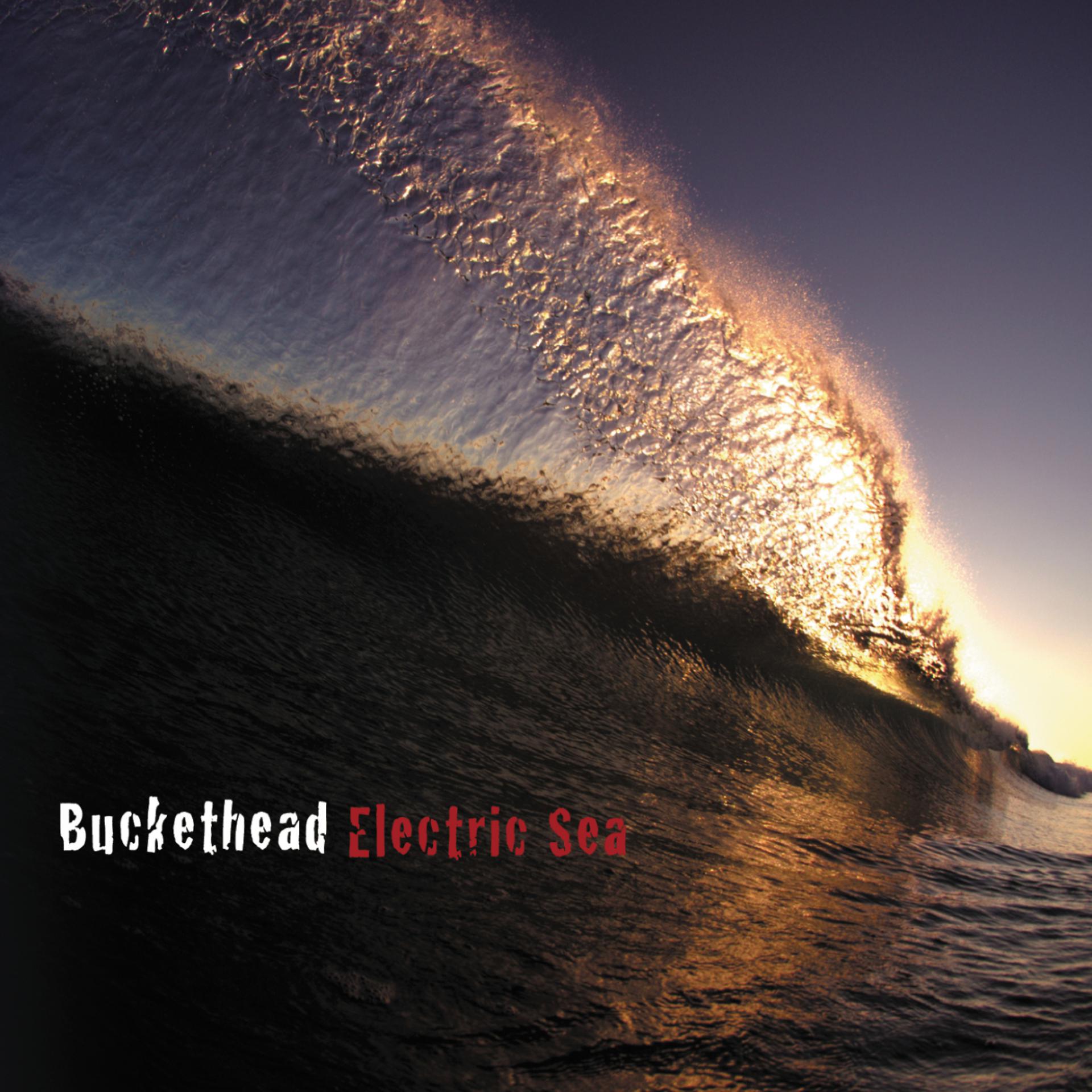 Постер альбома Electric Sea