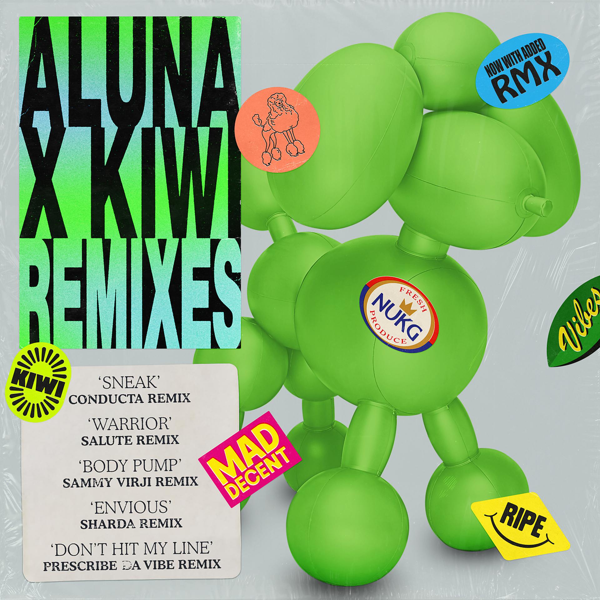Постер альбома Renaissance (Kiwi Remixes)