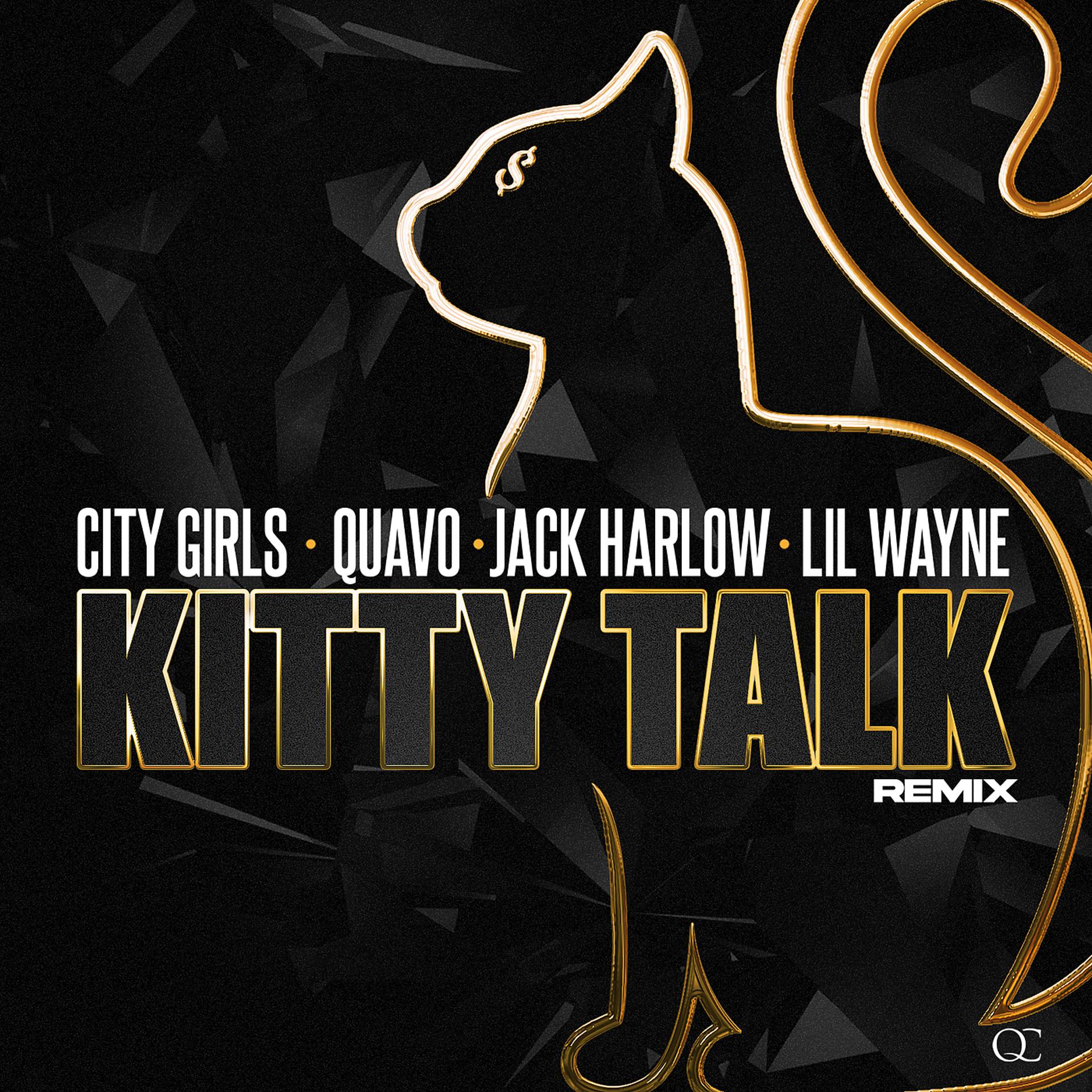 Постер альбома Kitty Talk (Remix)