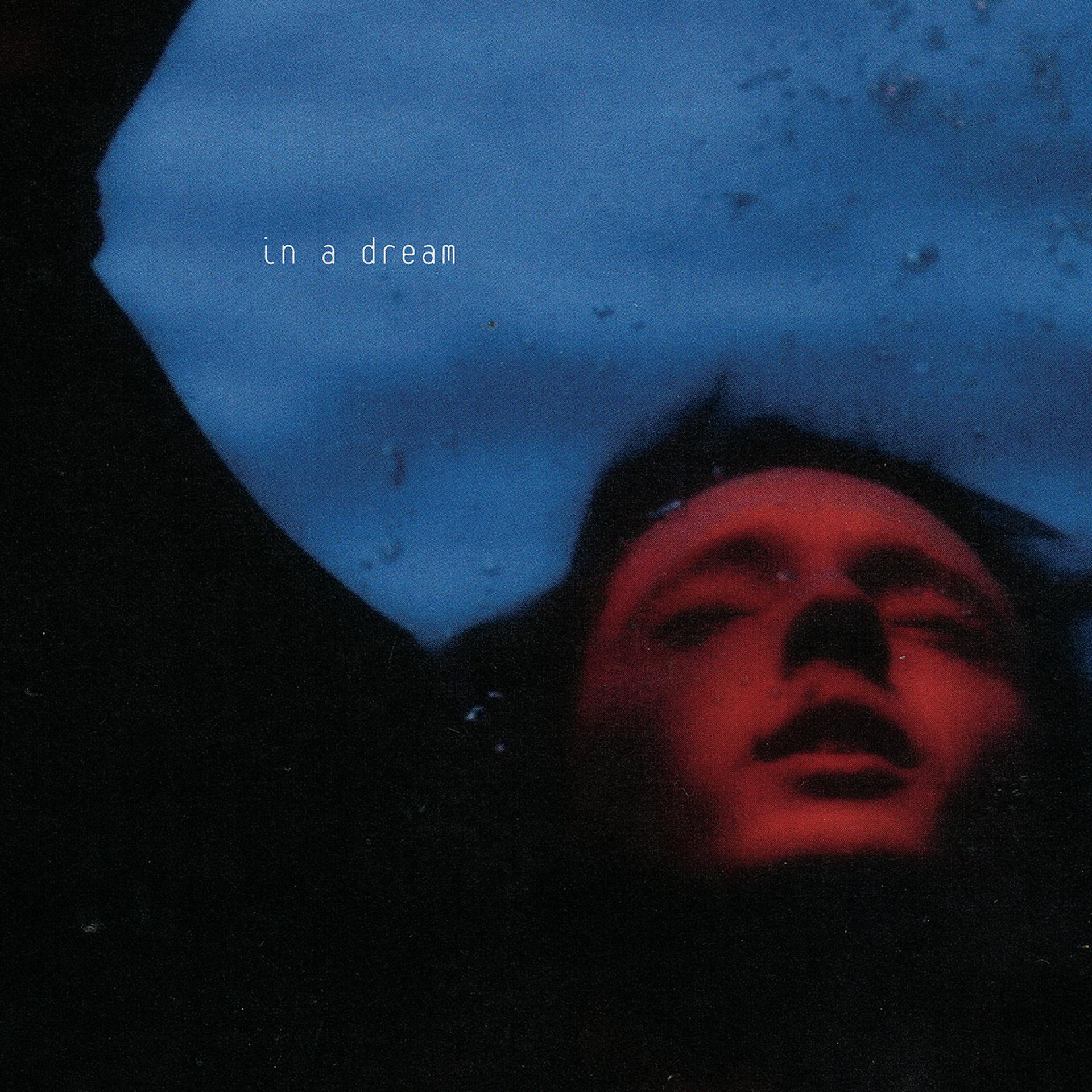 Постер альбома In A Dream