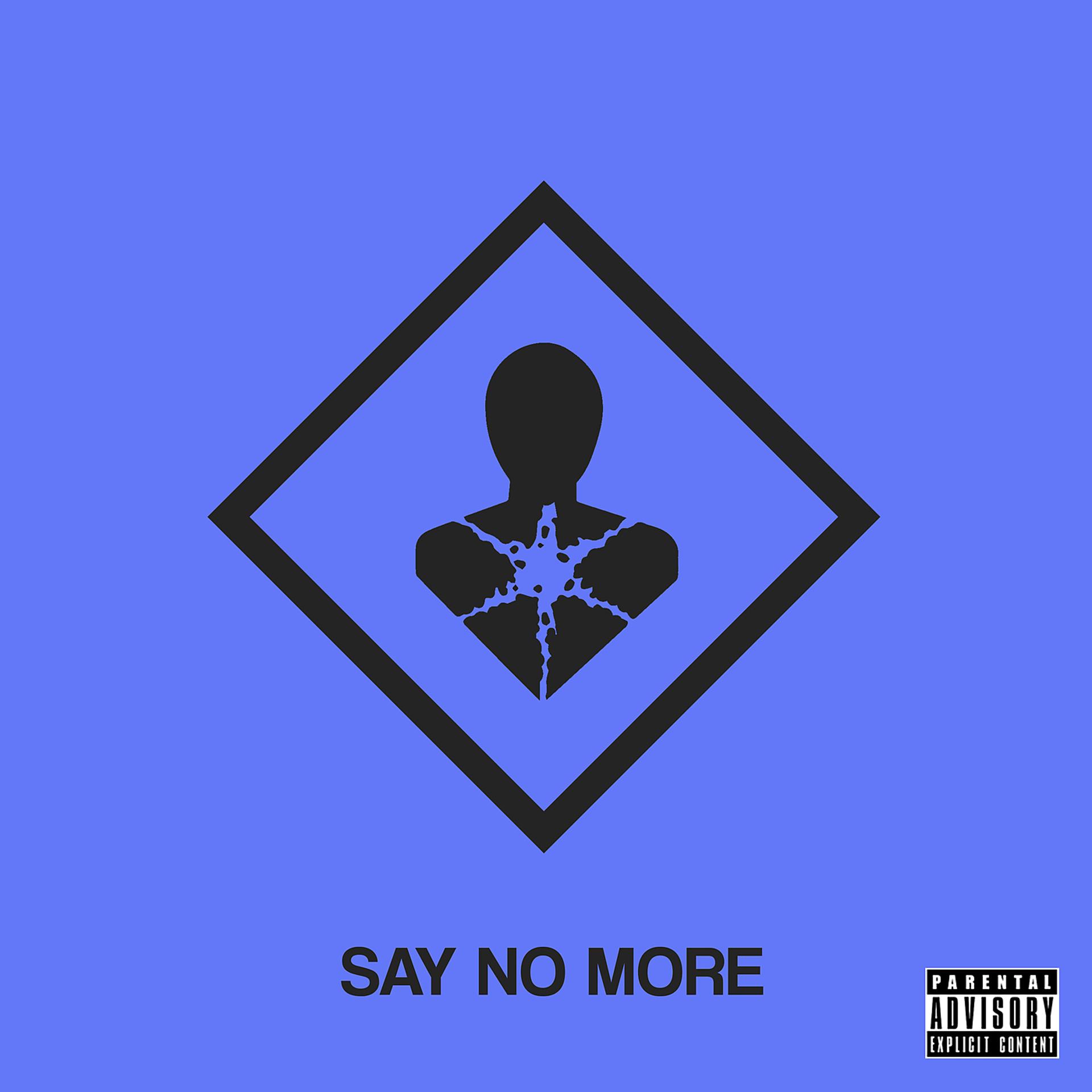 Постер альбома Say no more