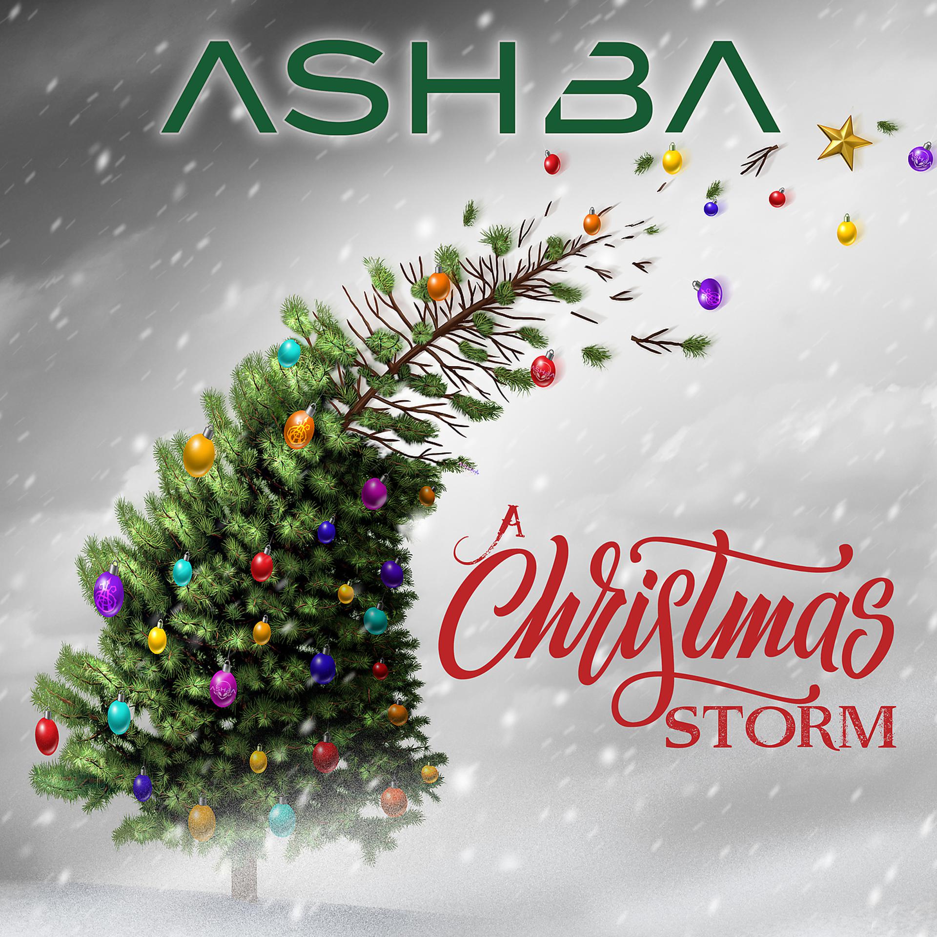 Постер альбома A Christmas Storm