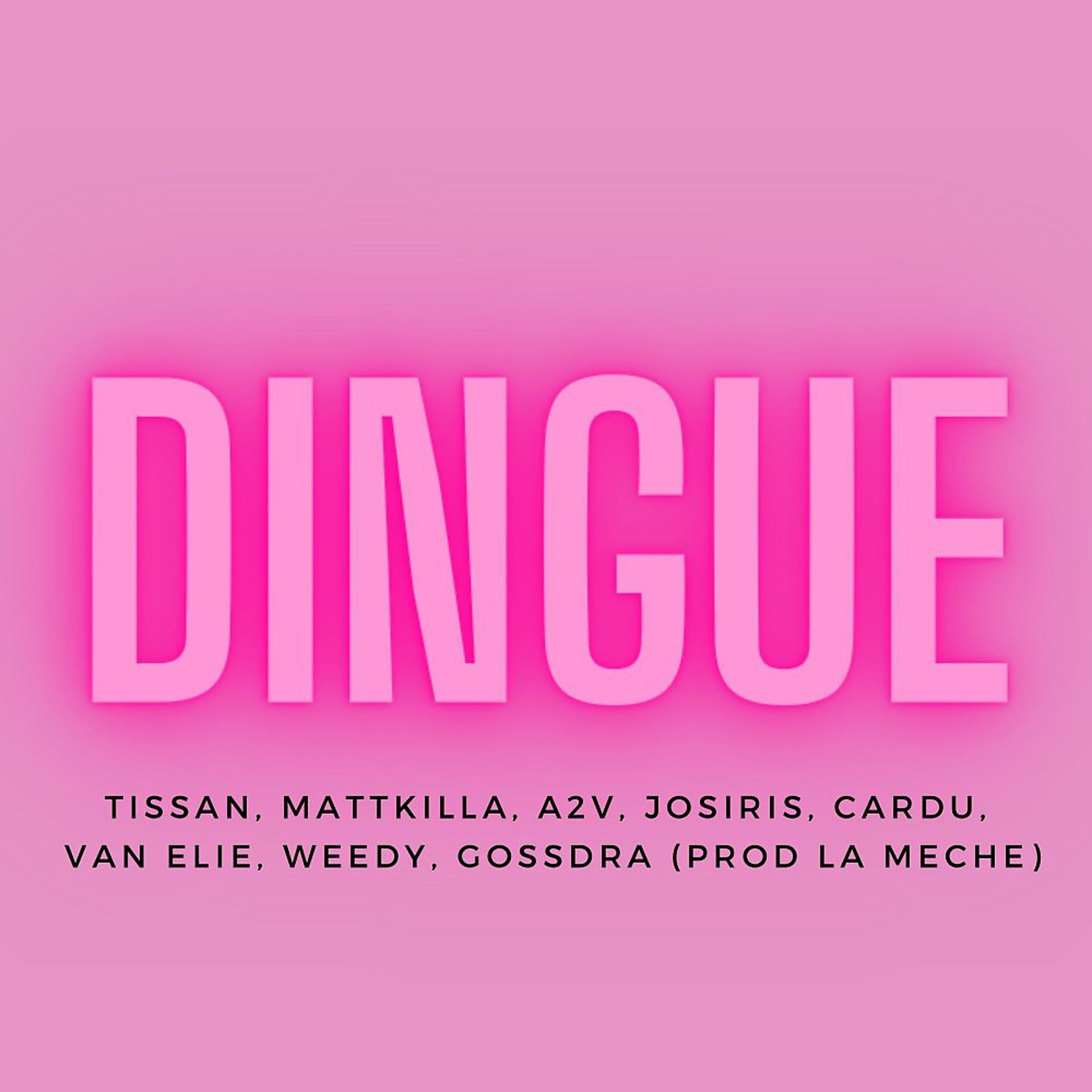 Постер альбома Dingue