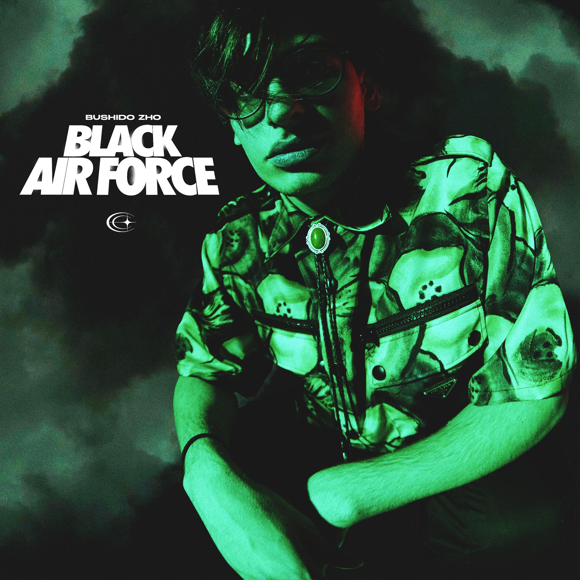 Постер альбома BLACK AIR FORCE