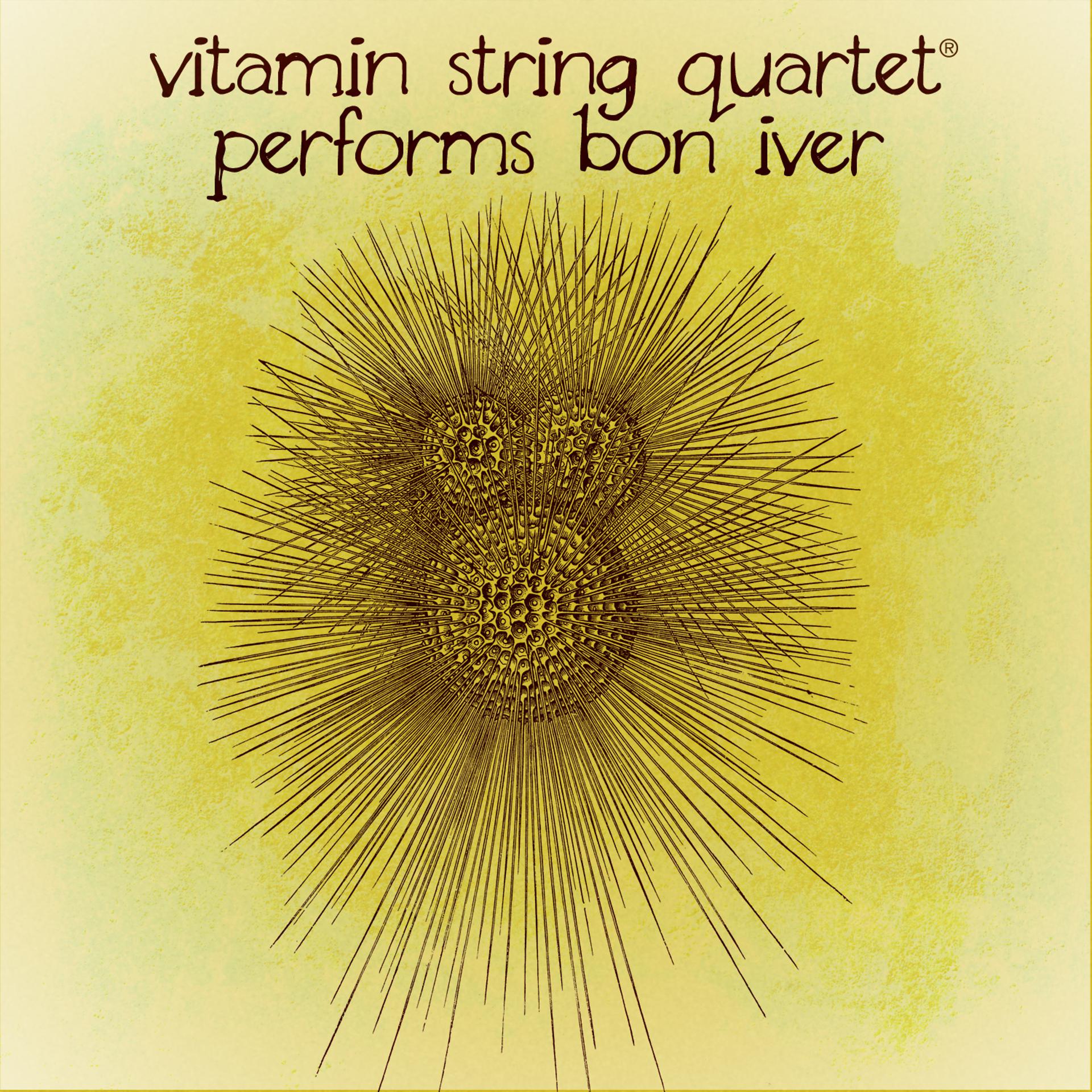 Постер альбома Vitamin String Quartet Performs Bon Iver