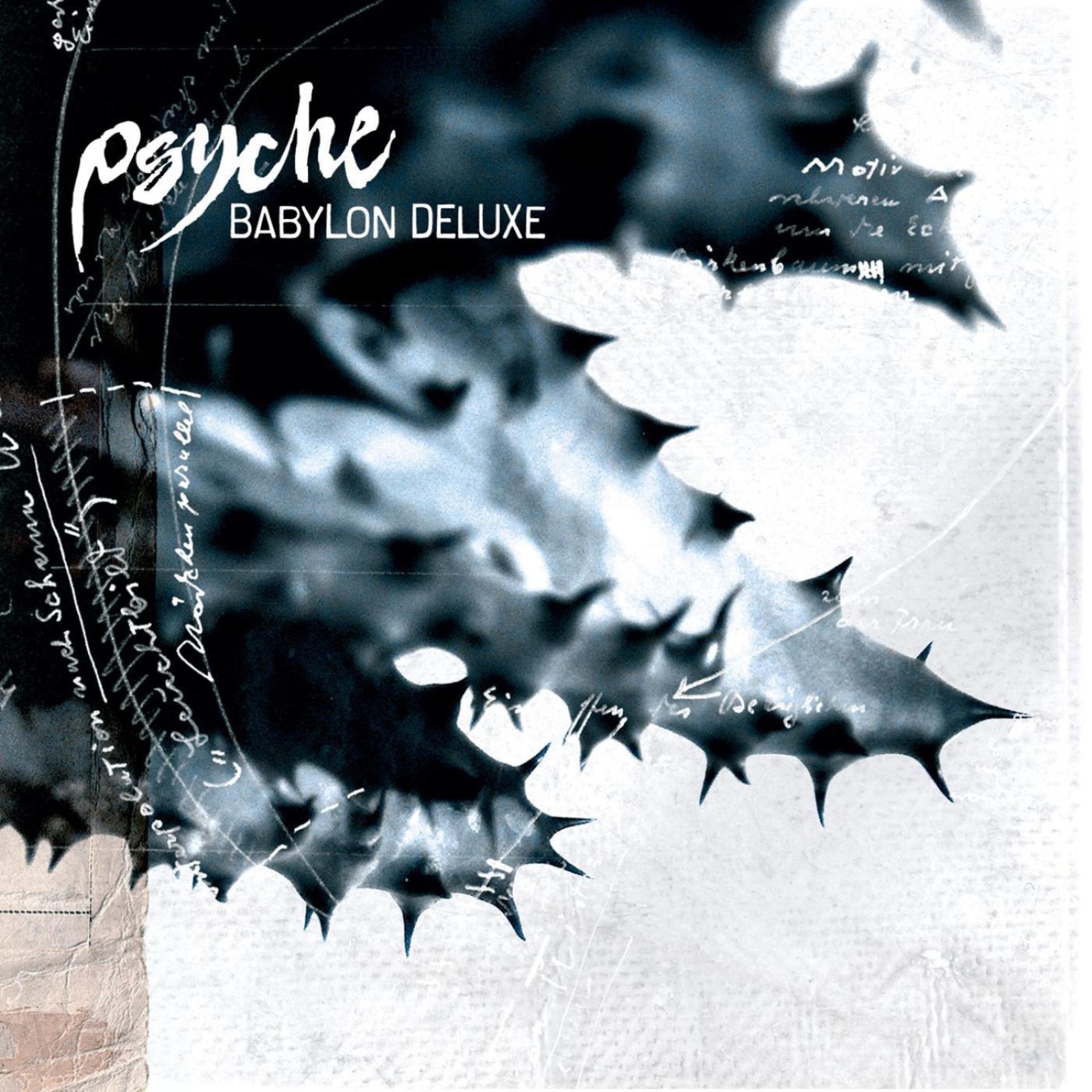 Постер альбома Babylon Deluxe