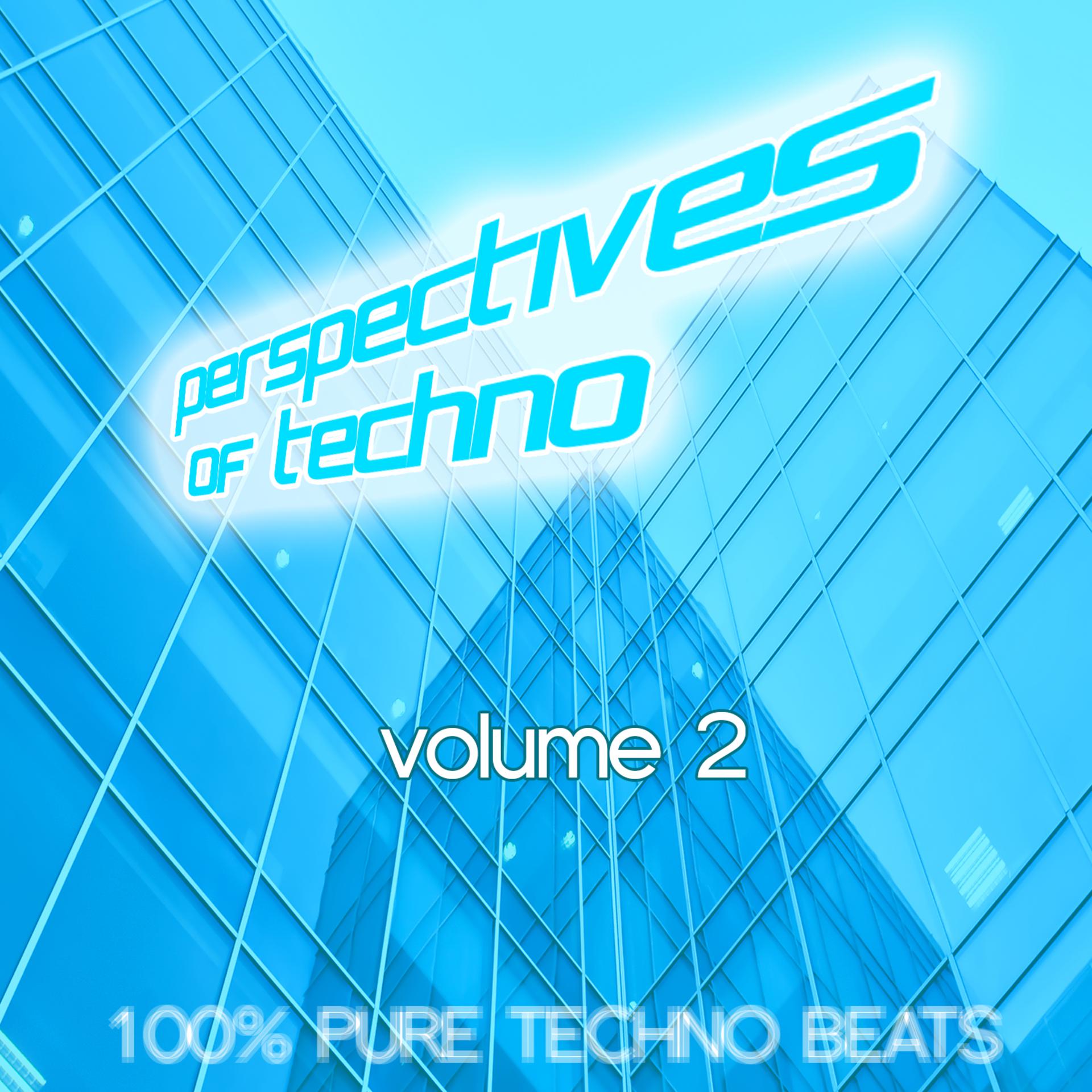 Постер альбома Perspectives of Techno Volume 2