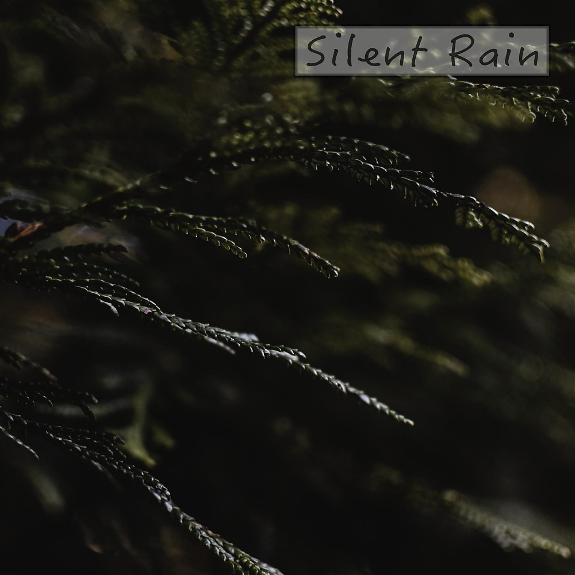 Постер альбома Silent Rain